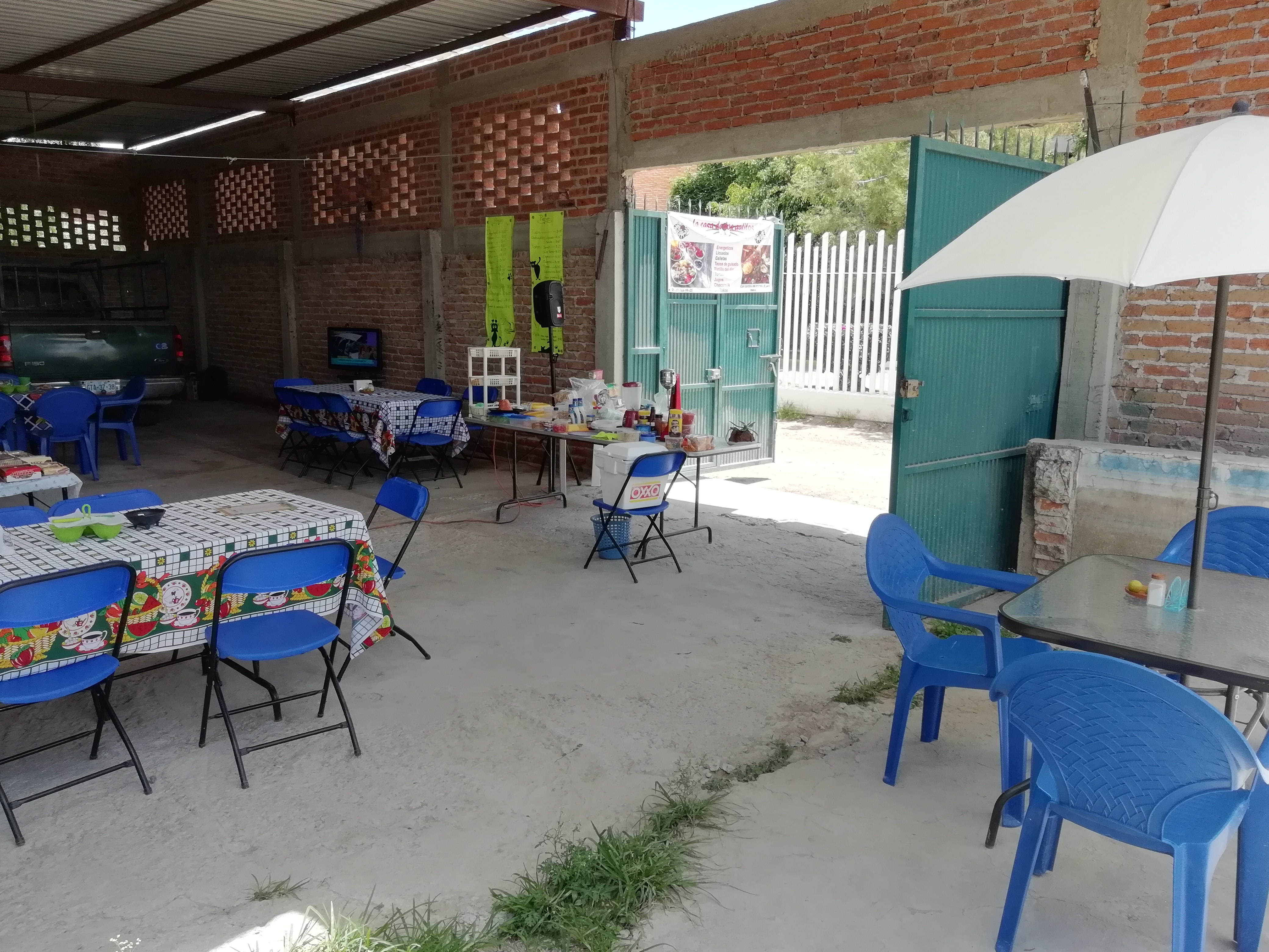 La Casa De Los Gatitos image 2