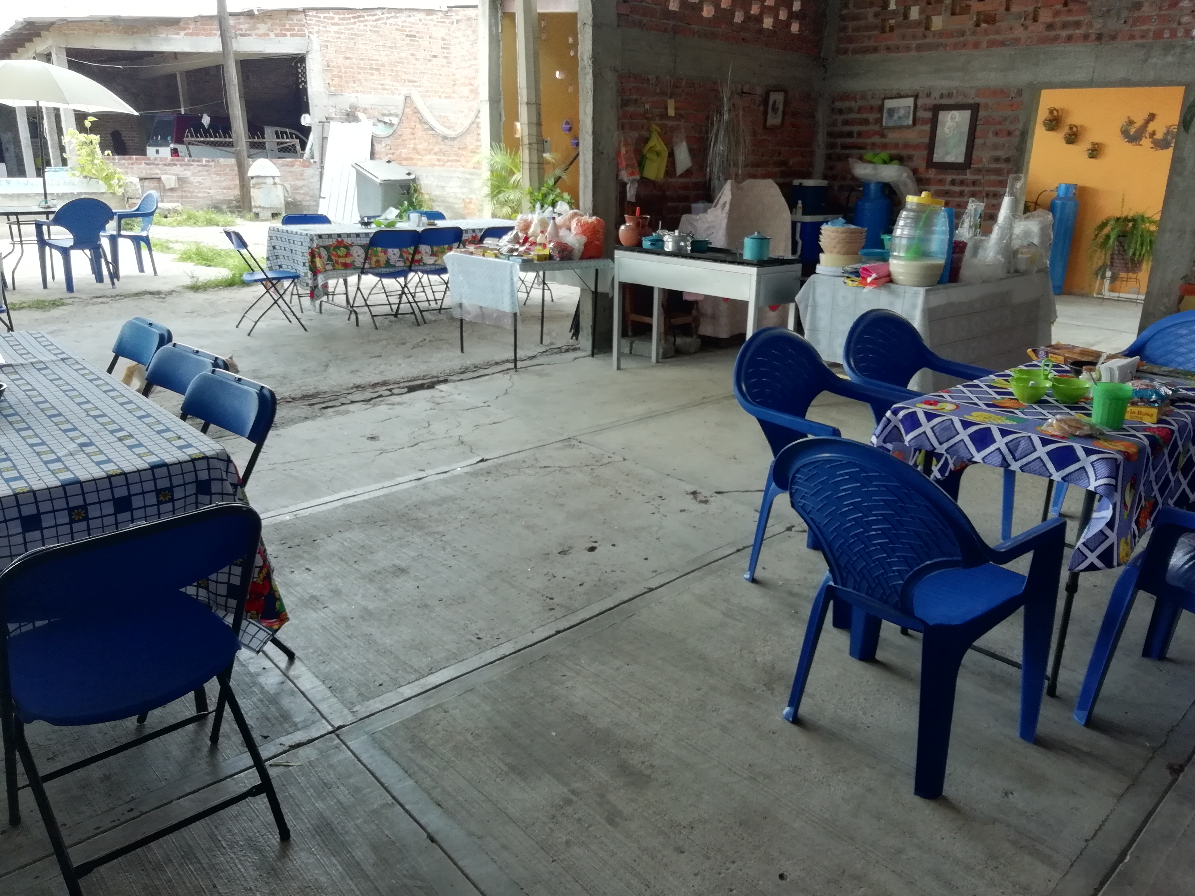 La Casa De Los Gatitos image 5