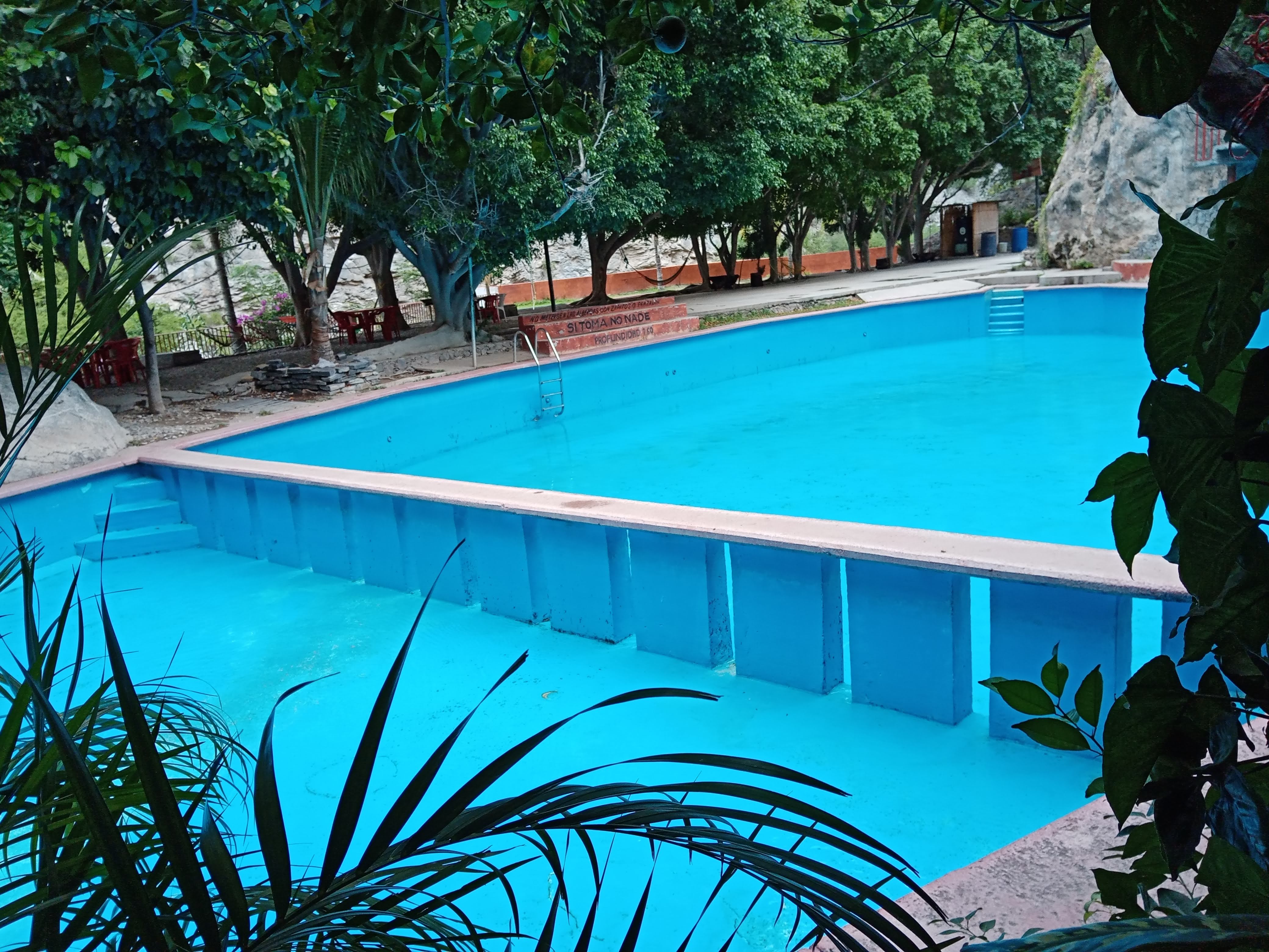 La Casa De Los Gatitos image 6