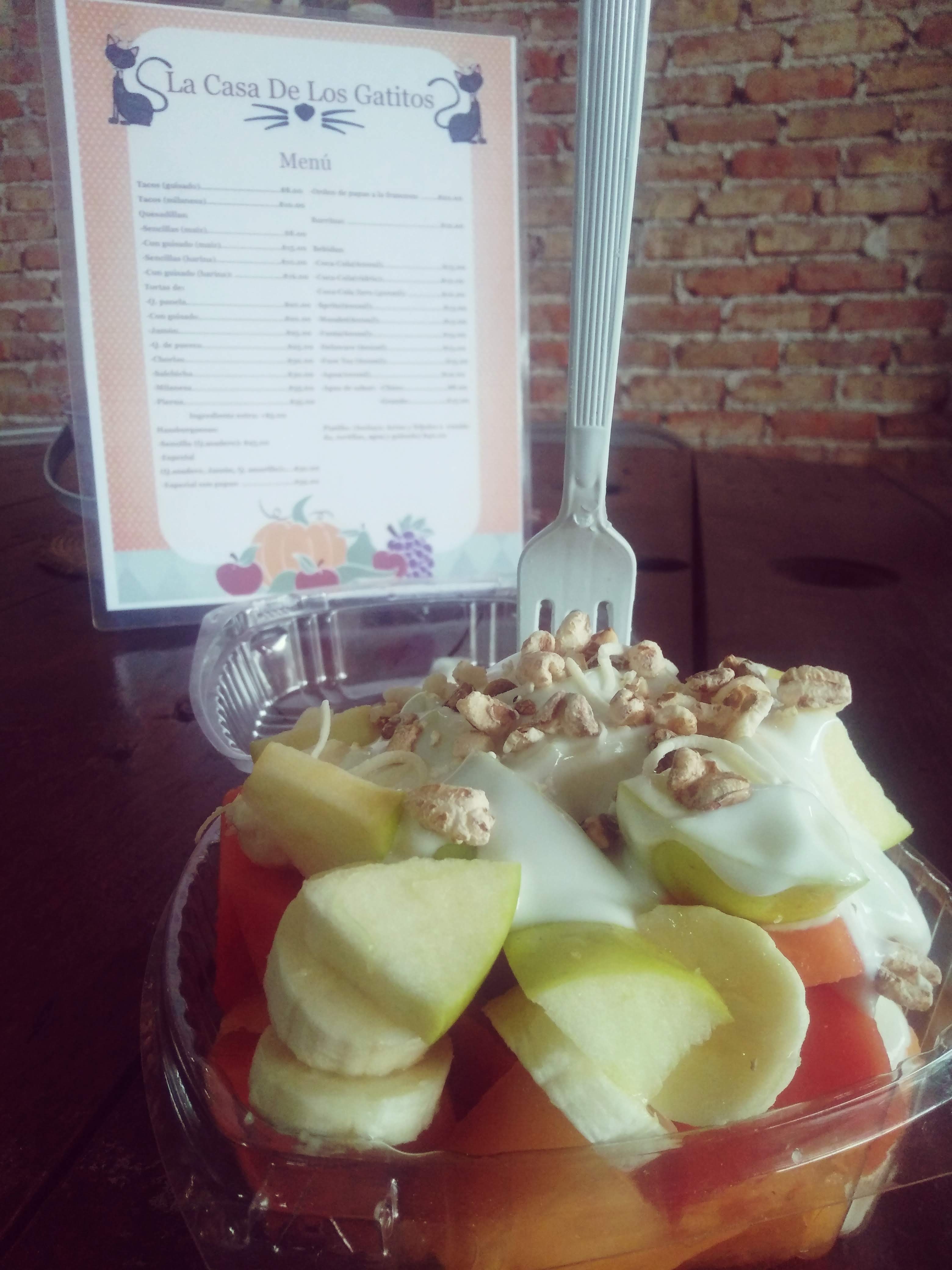 La Casa De Los Gatitos image 10