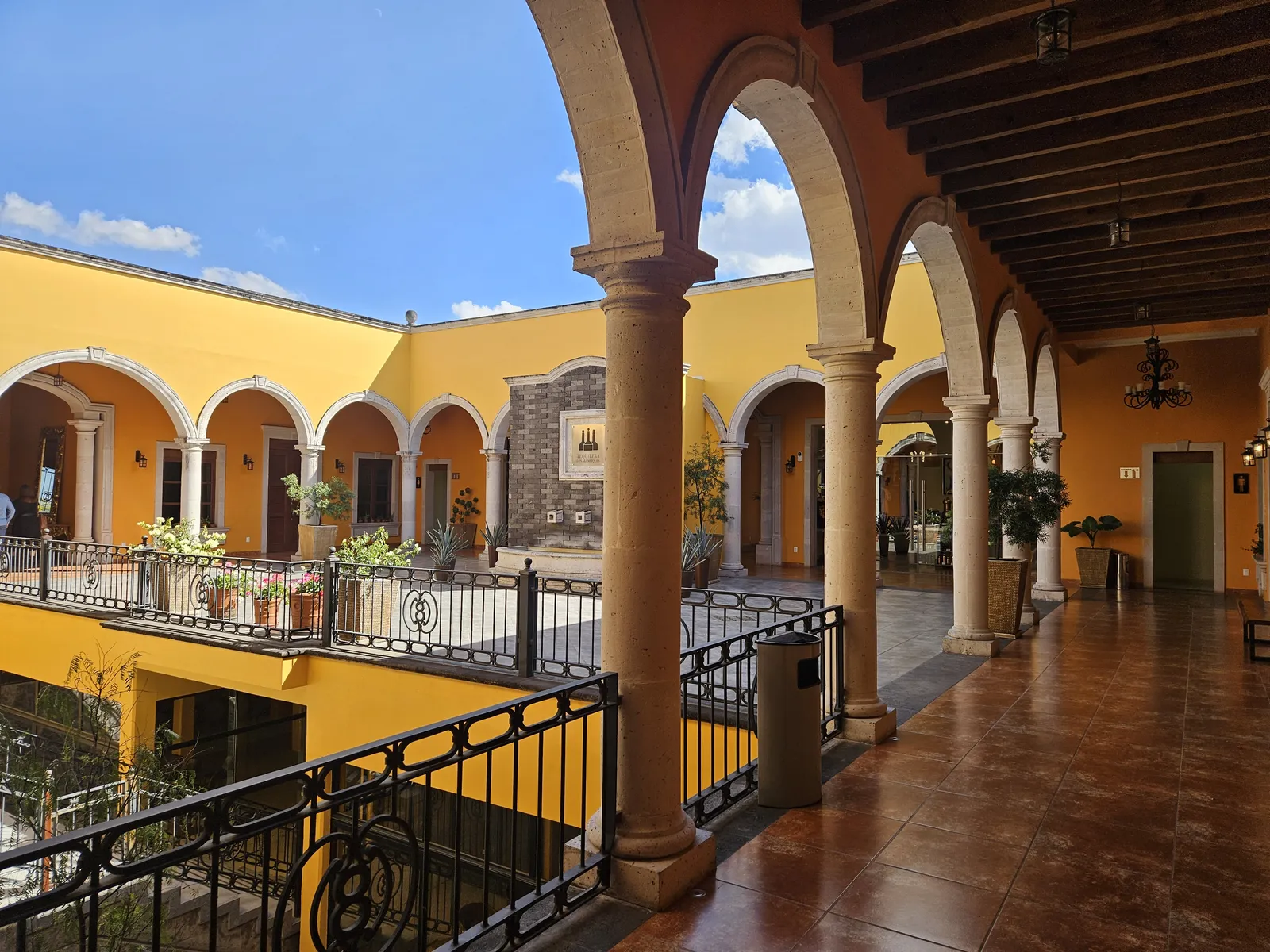 Ocho Agaves image 3