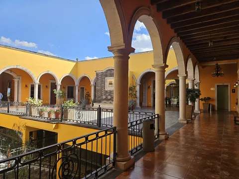Ocho Agaves image 3