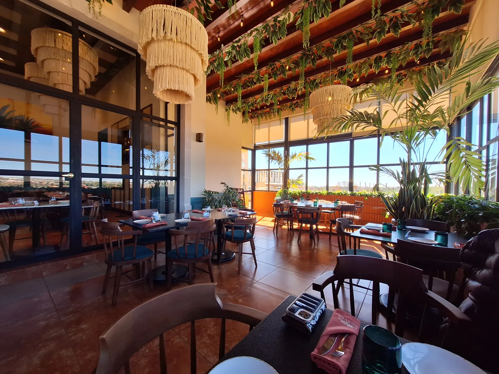 Ocho Agaves image 5
