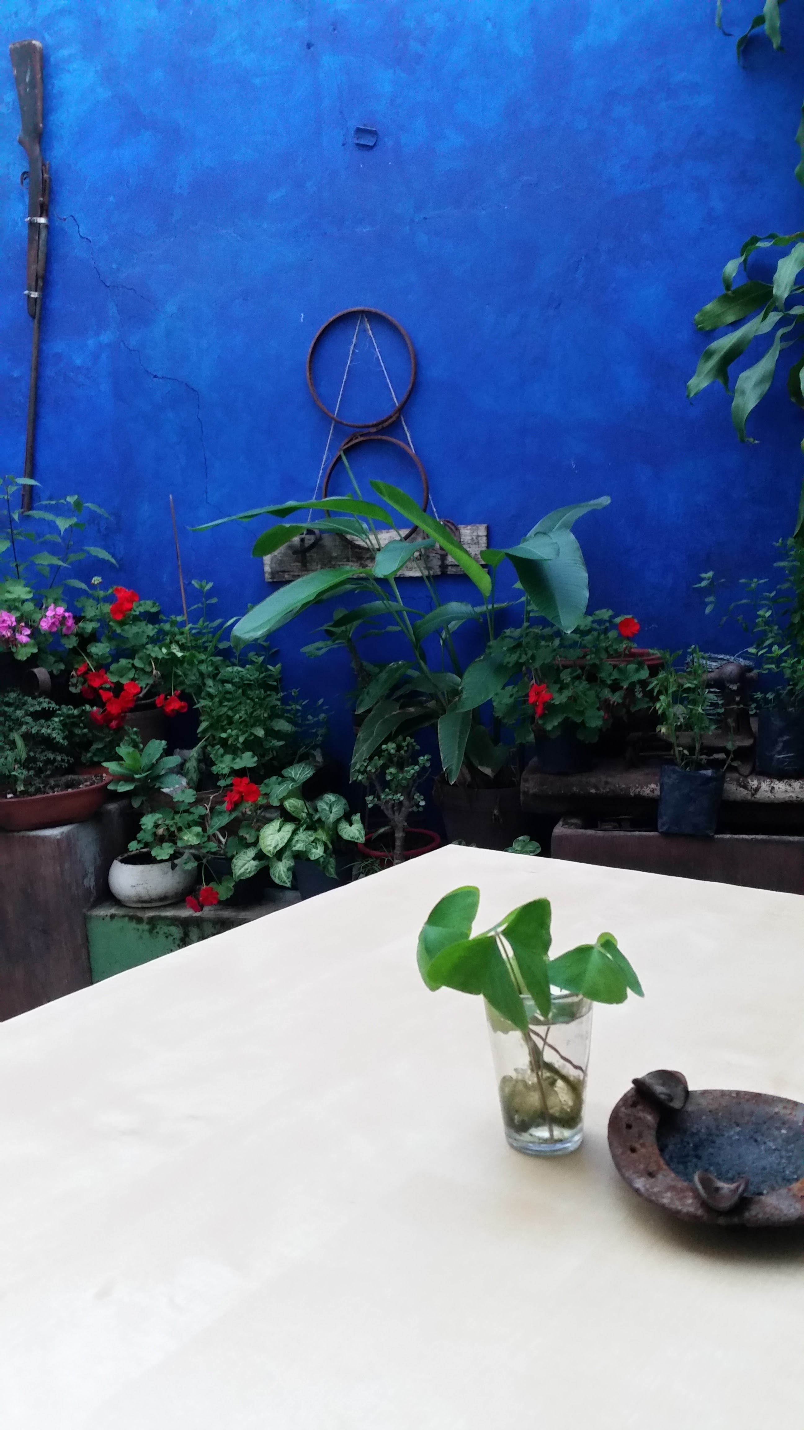 Don Cafe House image 6