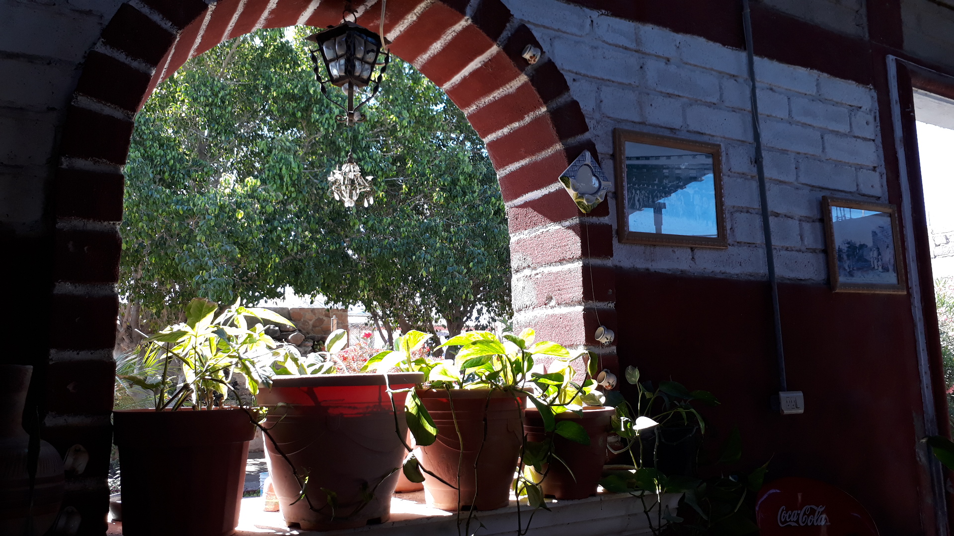 Restaurante Ricky image 4