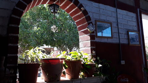 Restaurante Ricky image 4