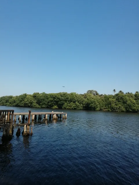 Tipico Puerto Ceiba image 3