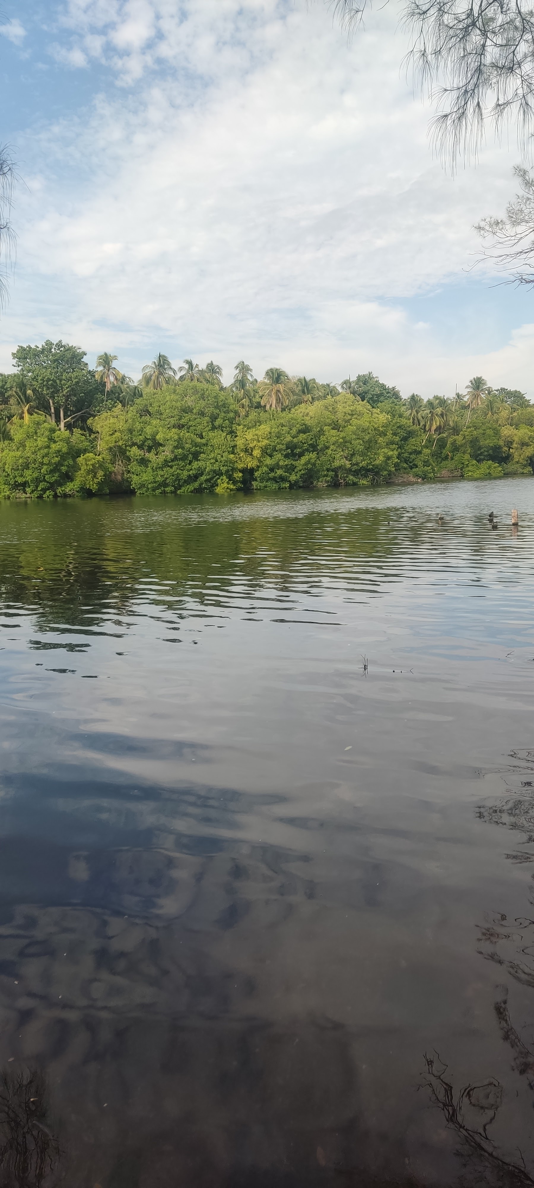 Tipico Puerto Ceiba image 6