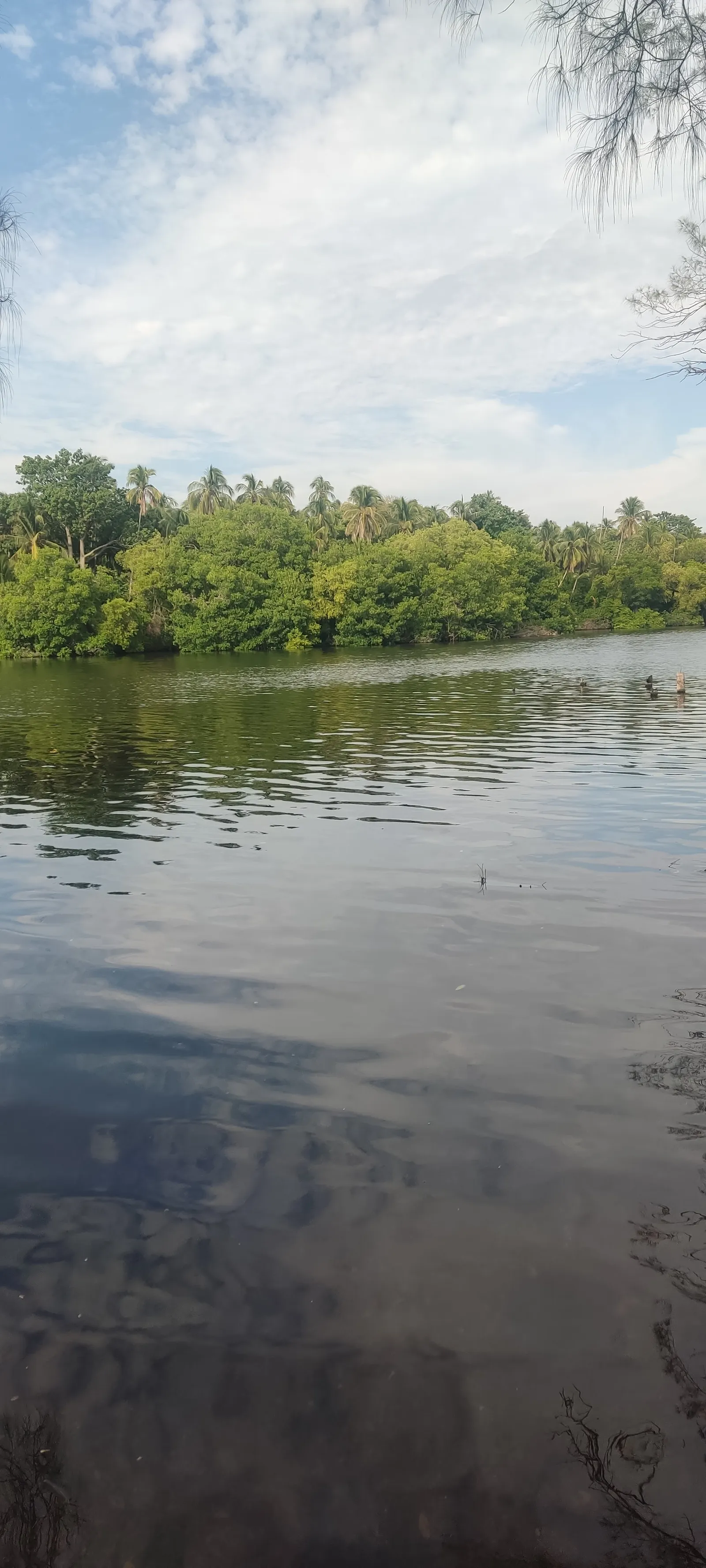Tipico Puerto Ceiba image 6