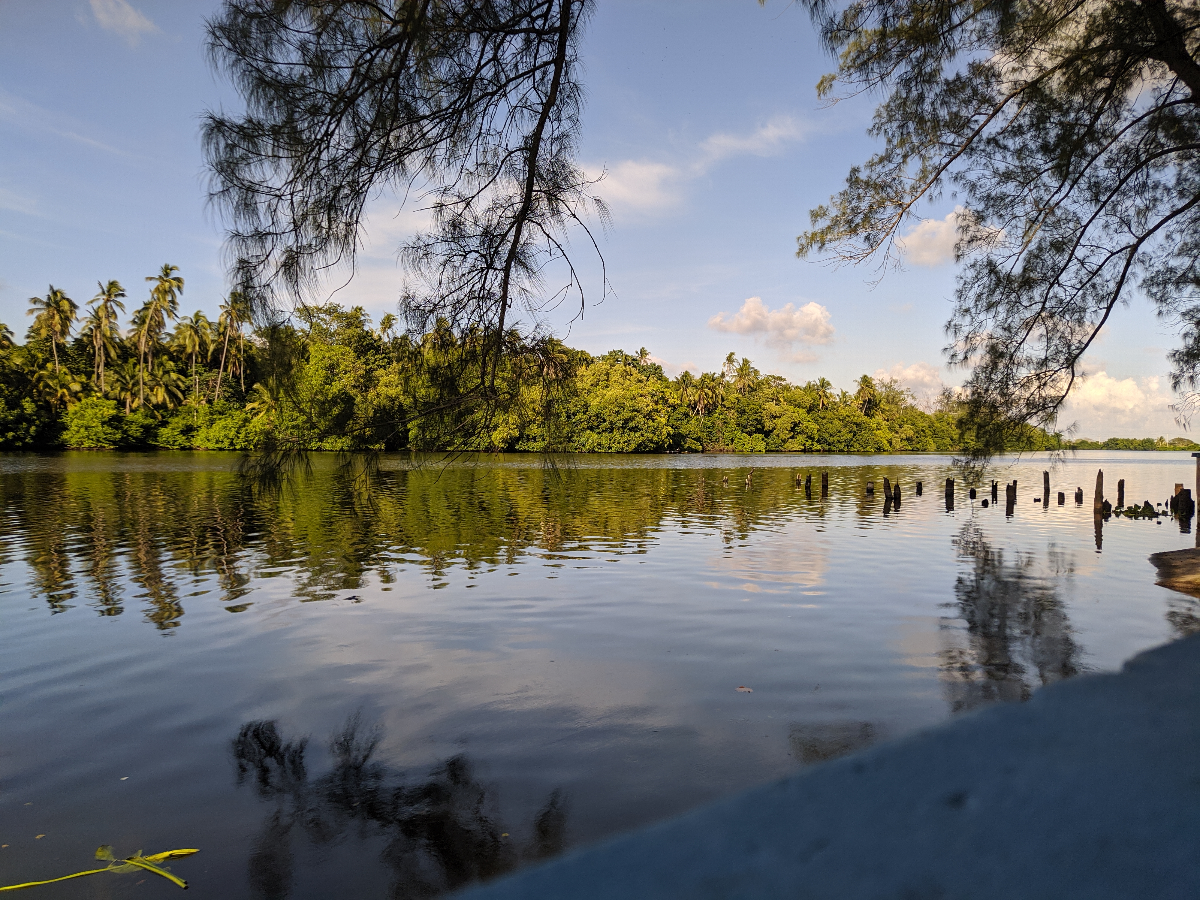 Cockteleria El Malecon Restaurate Familiar image 7