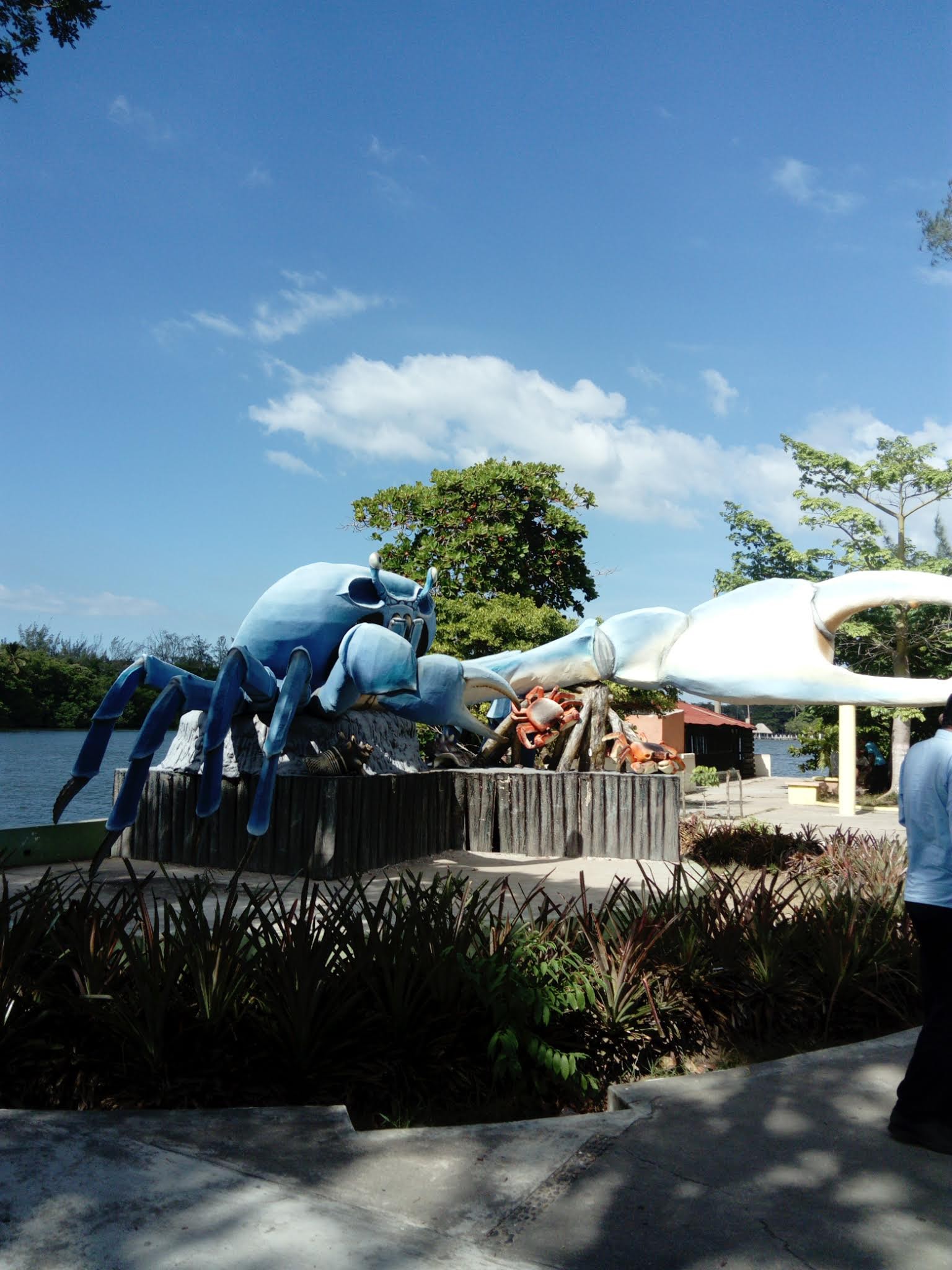 Cockteleria El Malecon Restaurate Familiar image 10