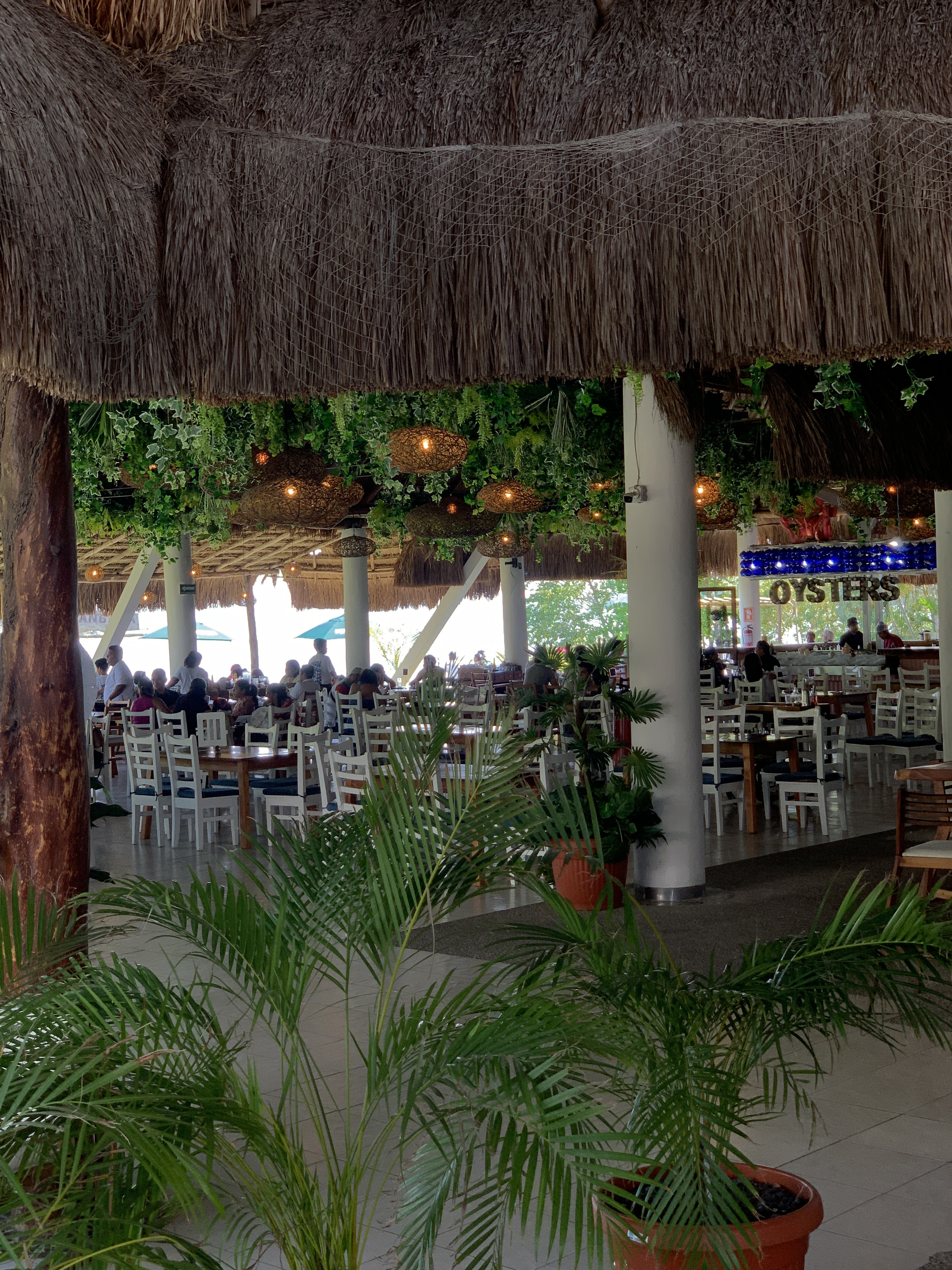 Jangada Seafood image 3