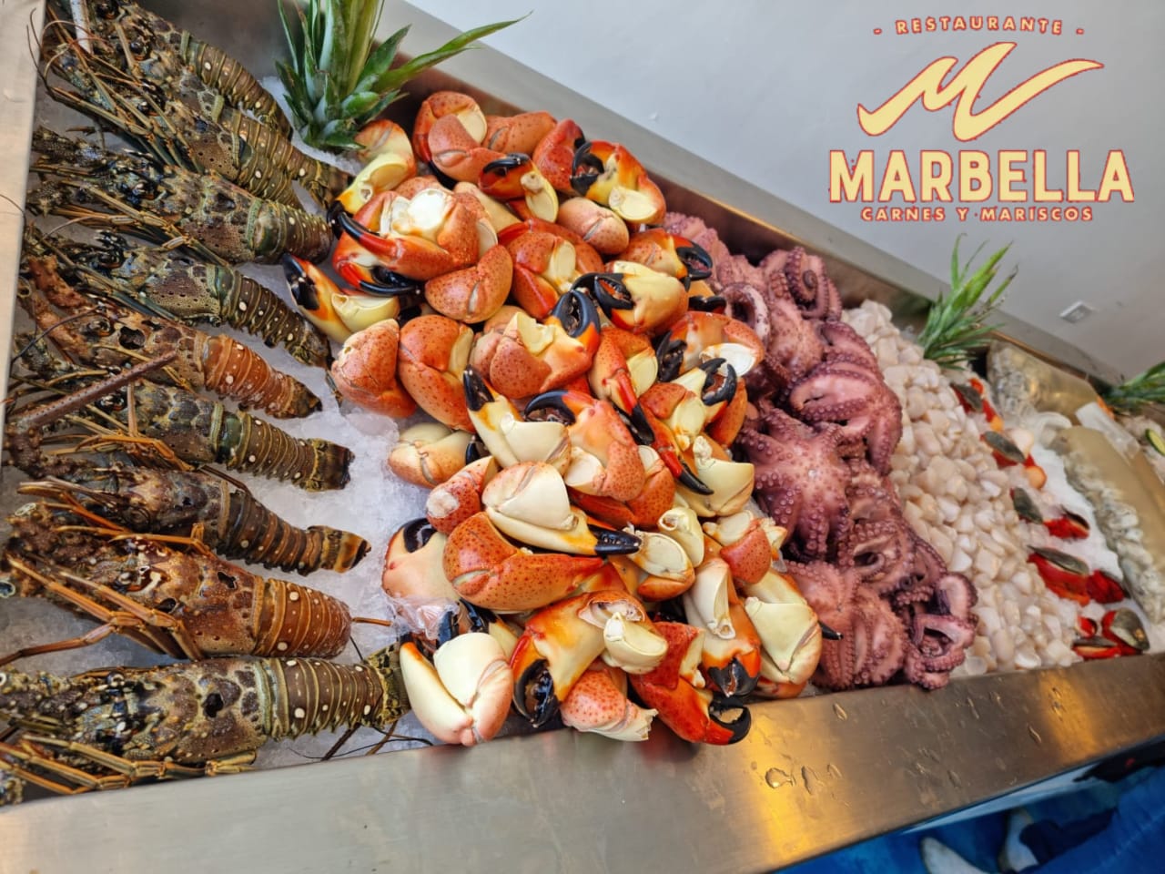 Marbella paraíso image 2