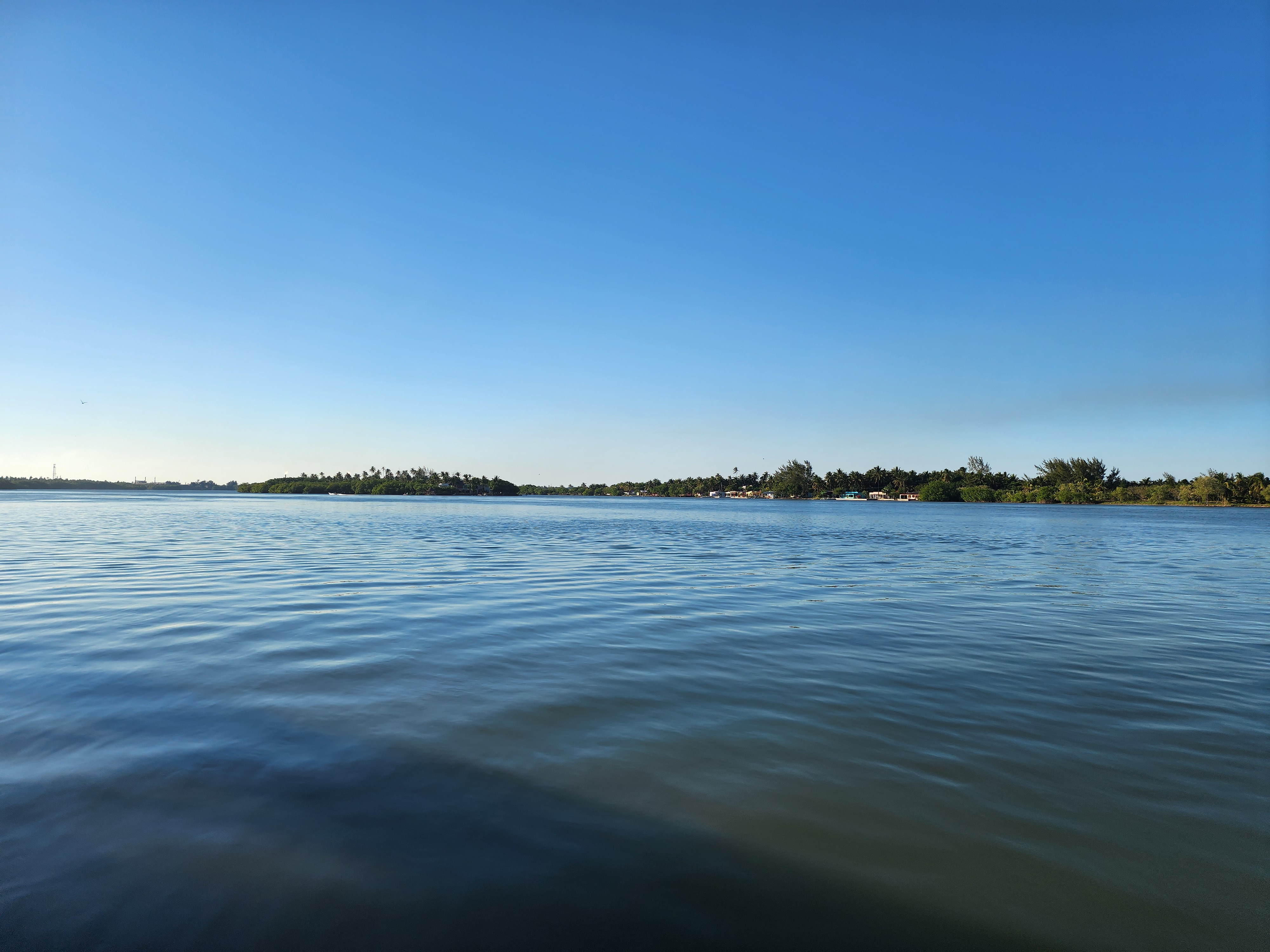 Marbella paraíso image 6