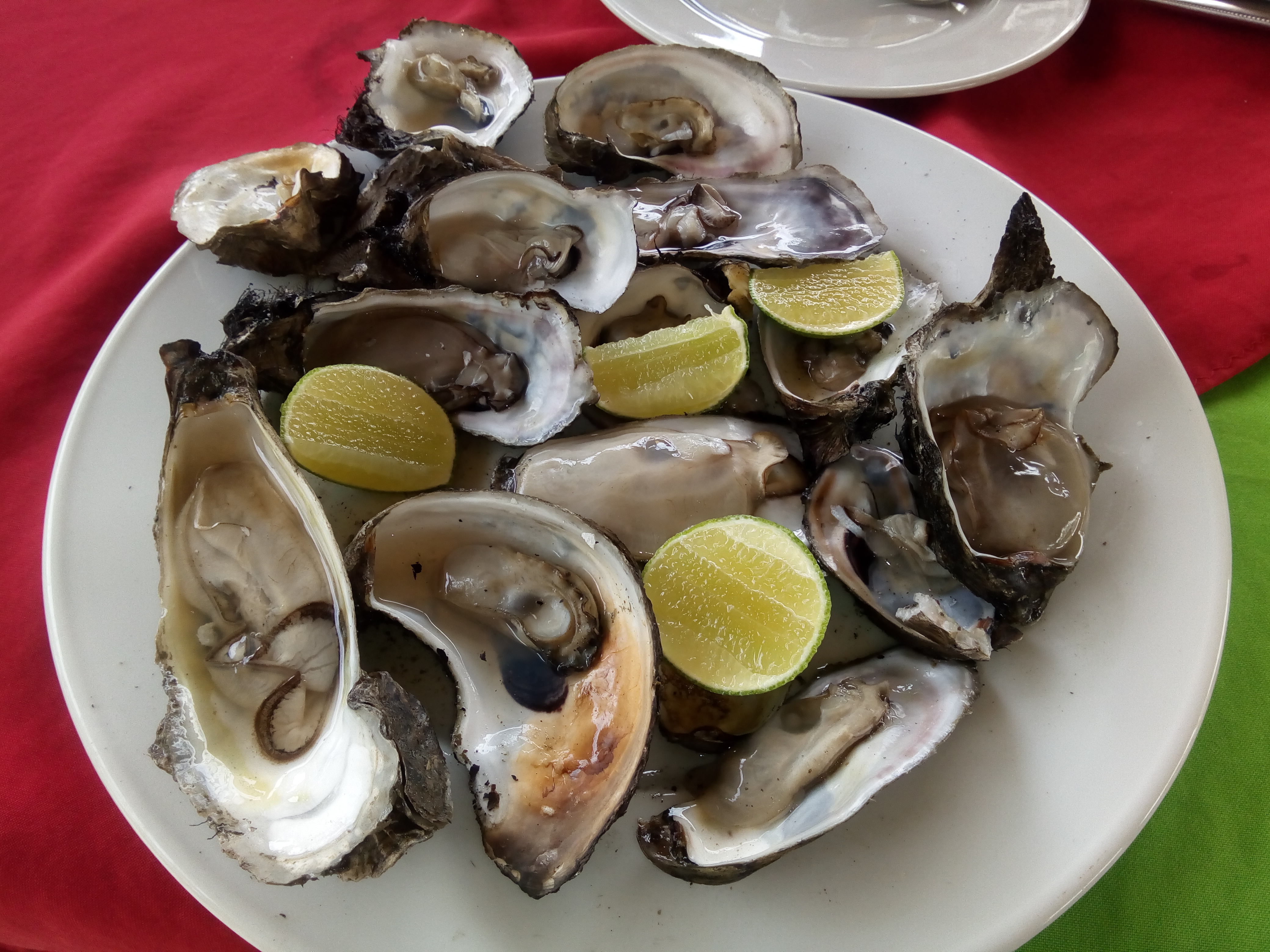 Restaurante "El Cocalito" image 4