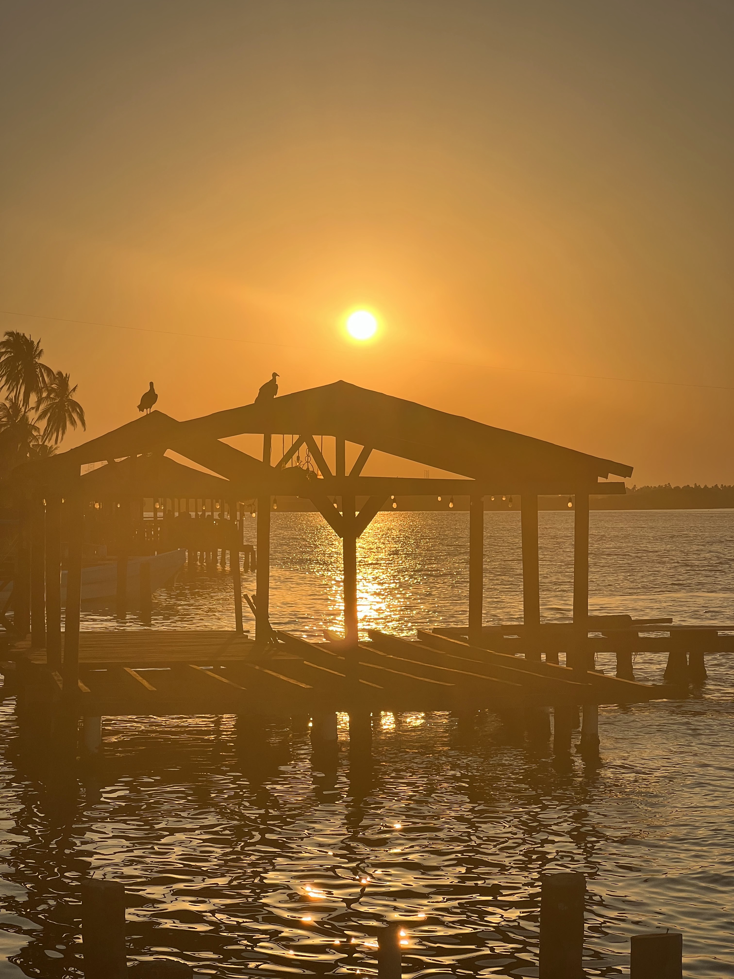 restaurante familiar El Marino image 5