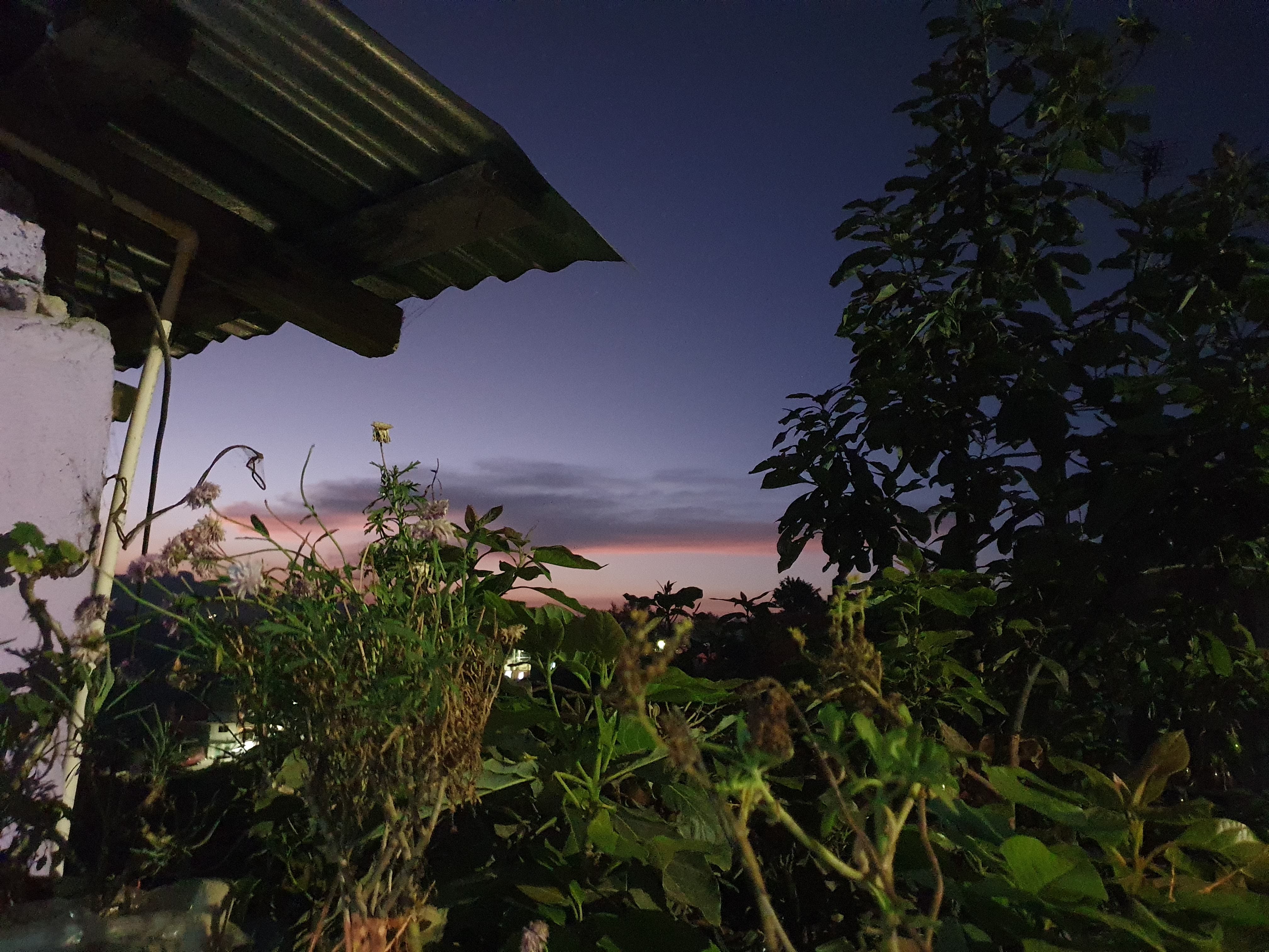 Garnachas Altotonga image 4