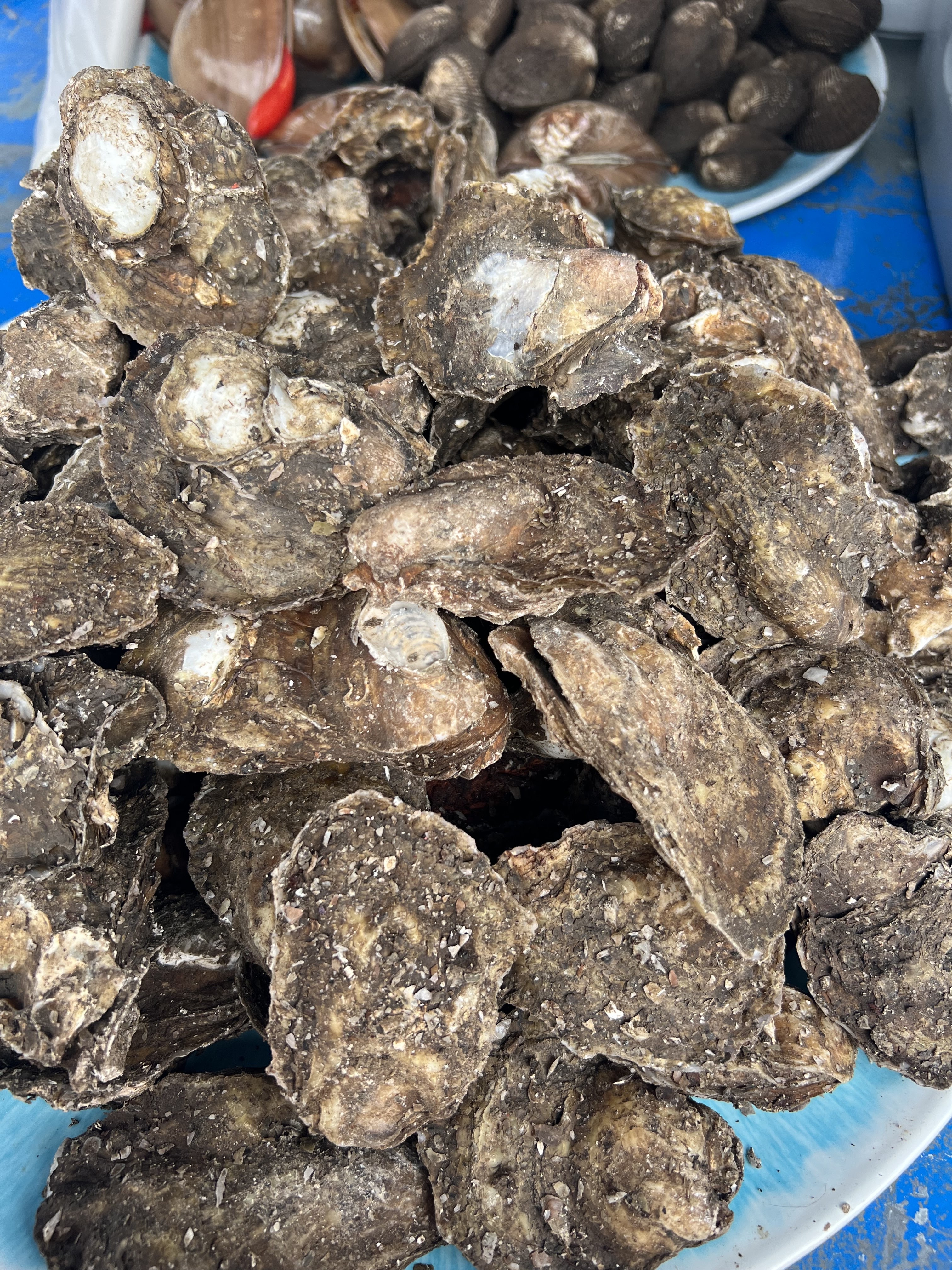 La Morena Mariscos image 8