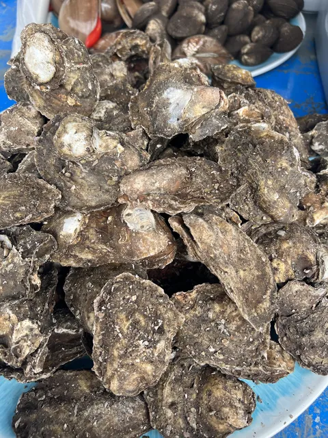La Morena Mariscos image 8