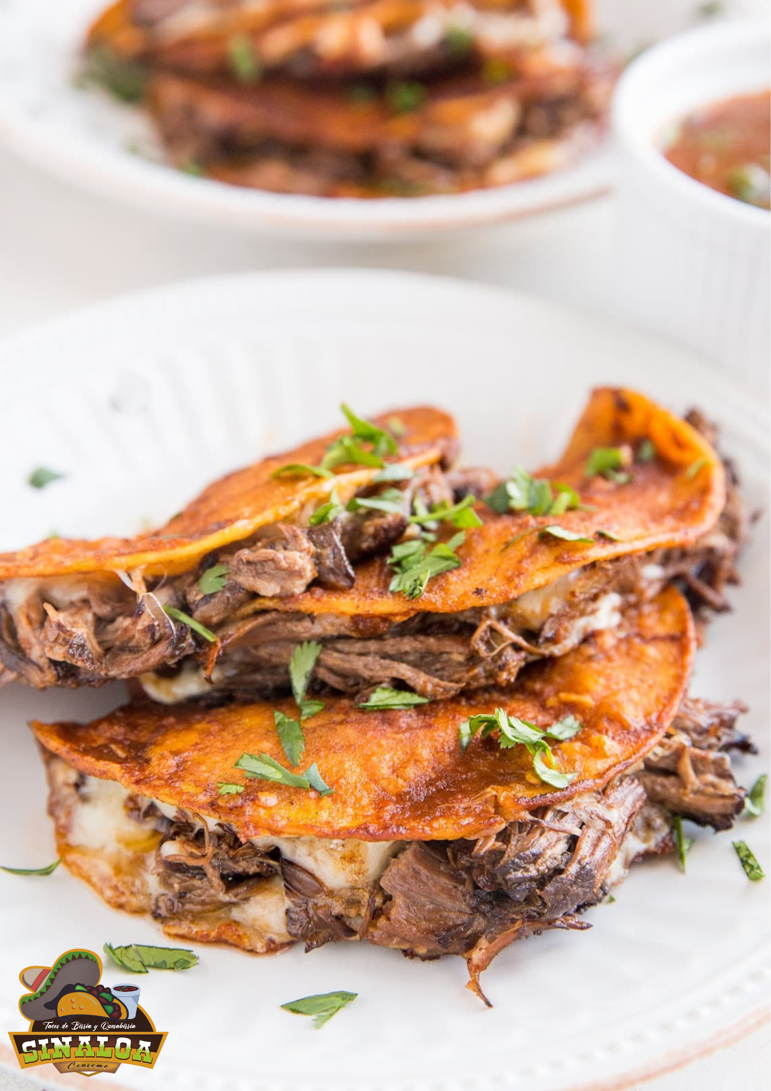 Birria Sinaloa El Triangulito image 4