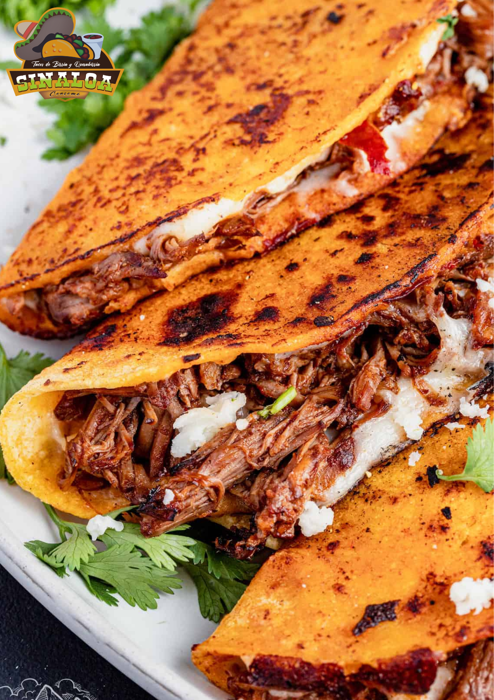Birria Sinaloa El Triangulito image 5