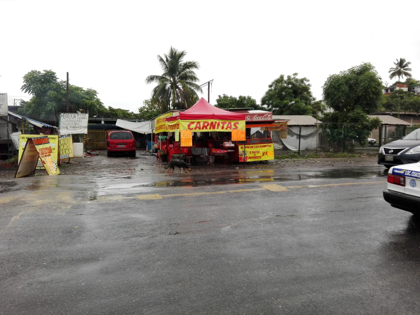 El Apá de los Kuinitos image 2