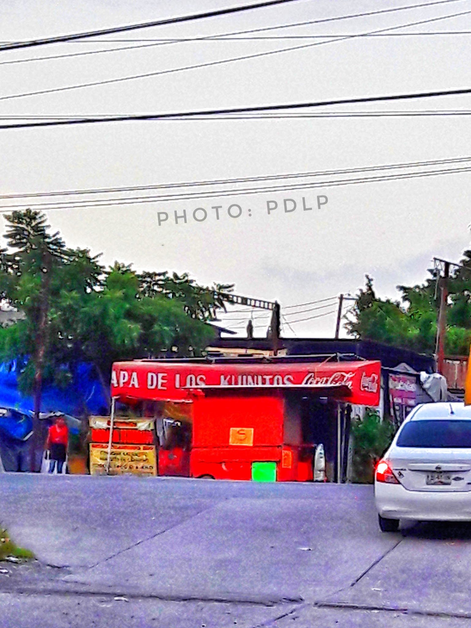 El Apá de los Kuinitos image 7