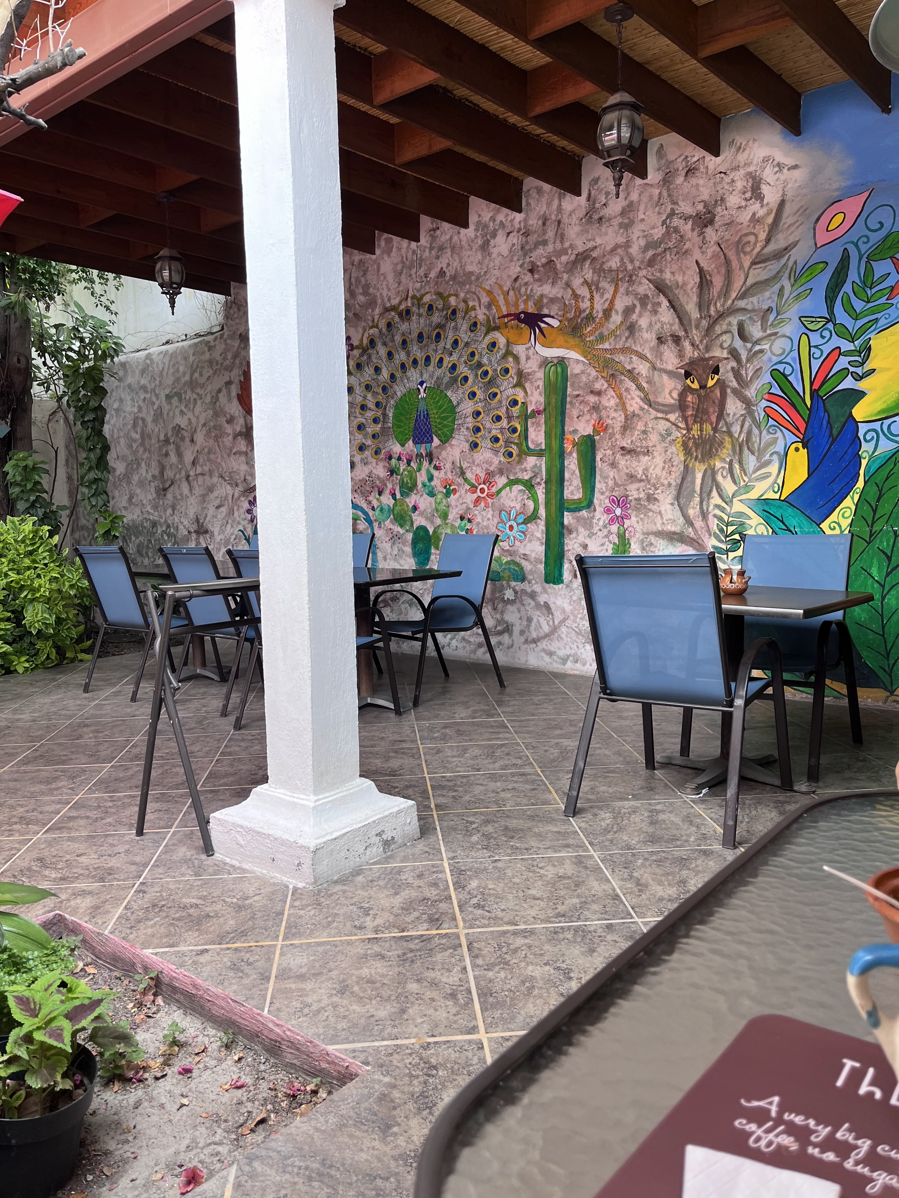 Restaurante El Patio image 4