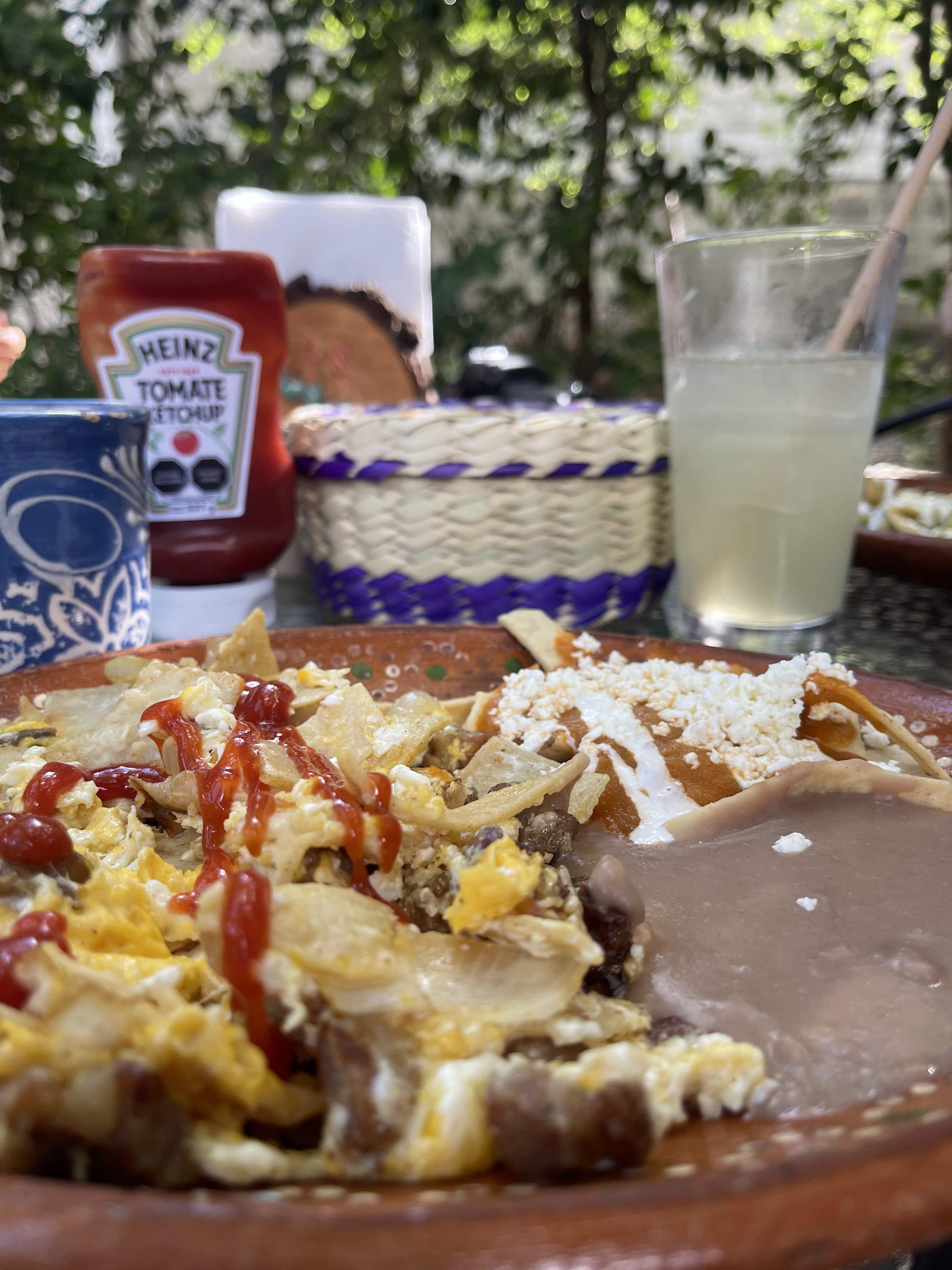 "El retoño" image 6