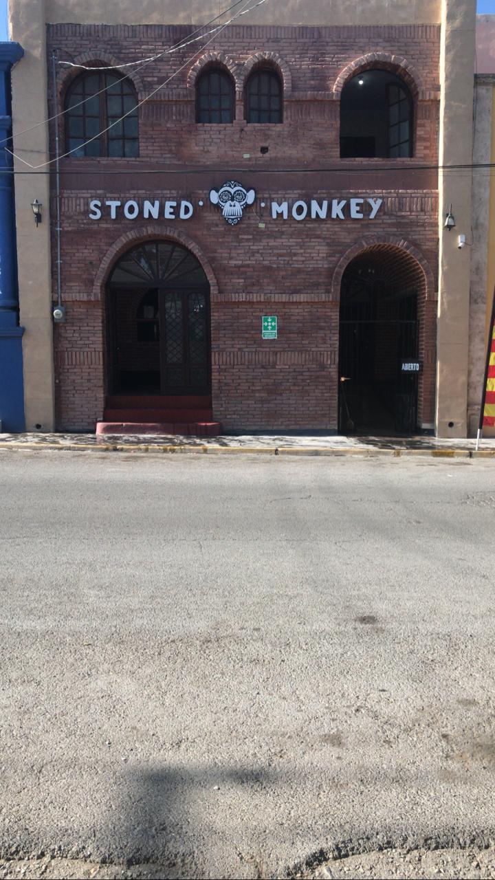 STONED MONKEY image 1