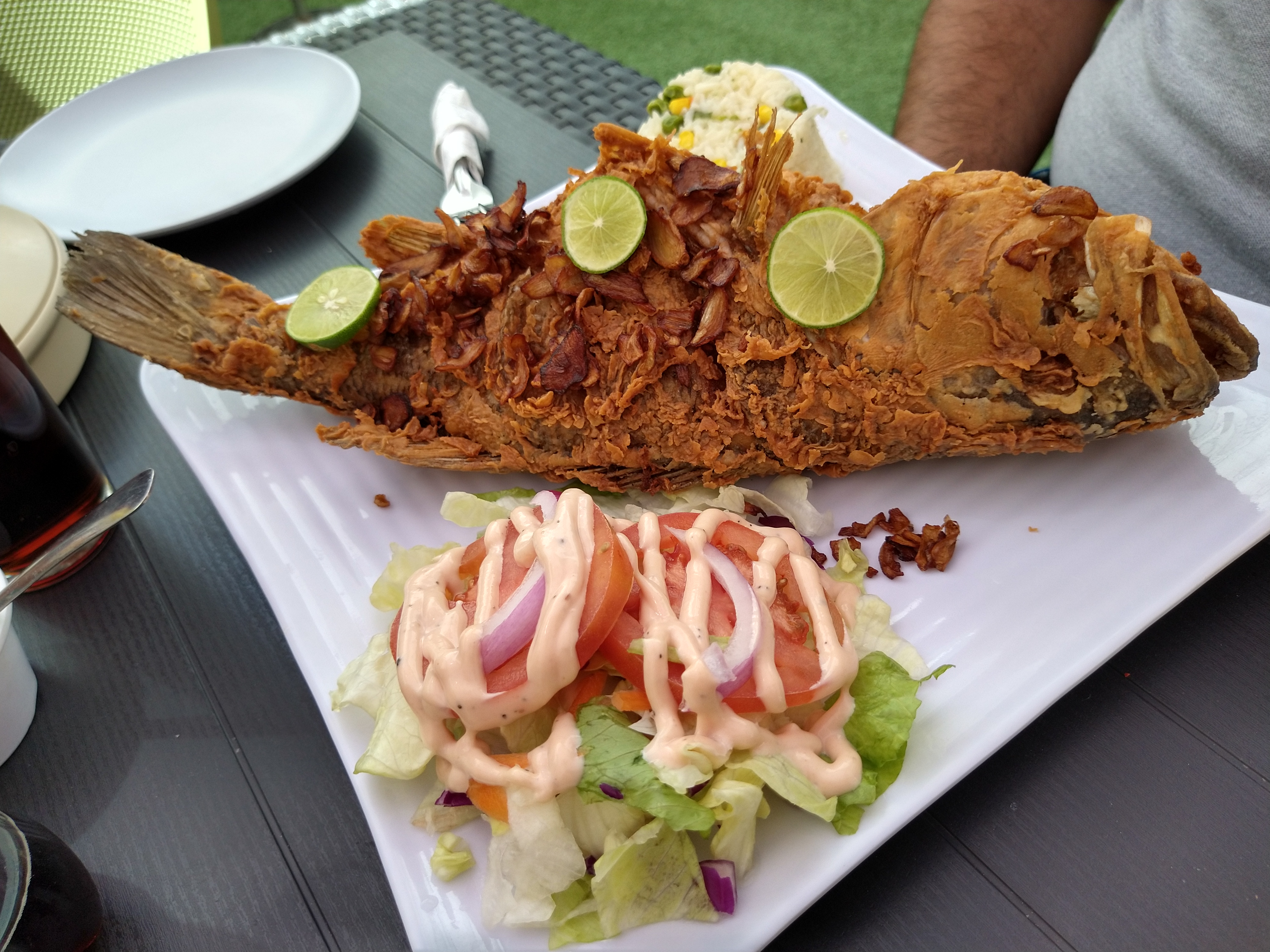 Pinabete Parras image 5