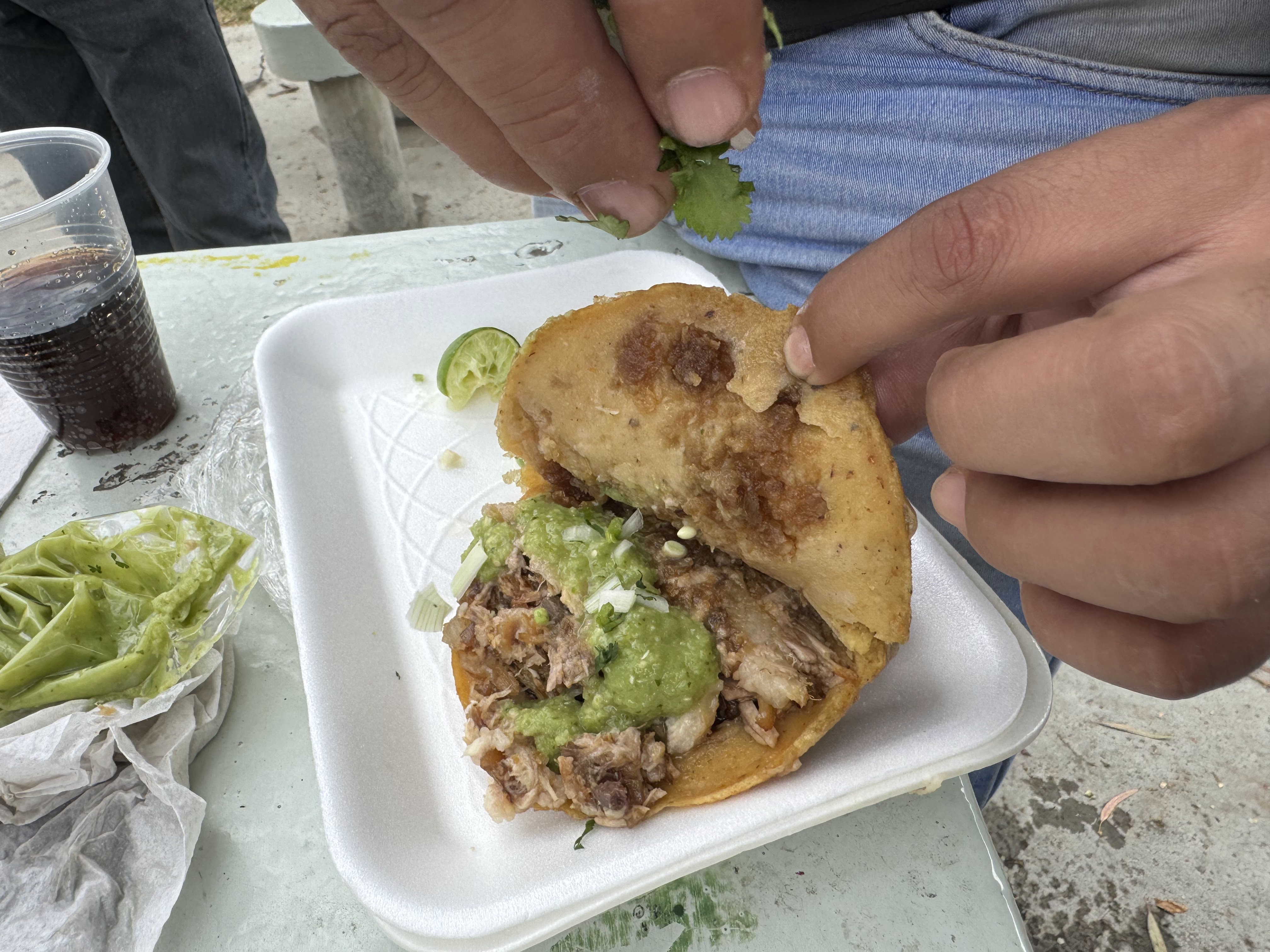 Carnitas Cochi image 6