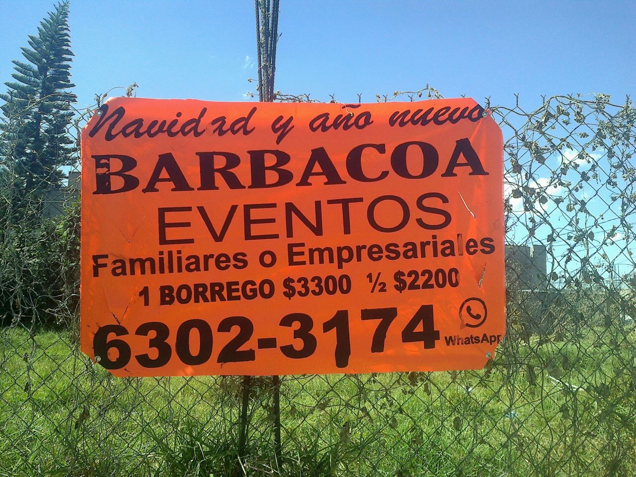 Barbecue Your Events image 3