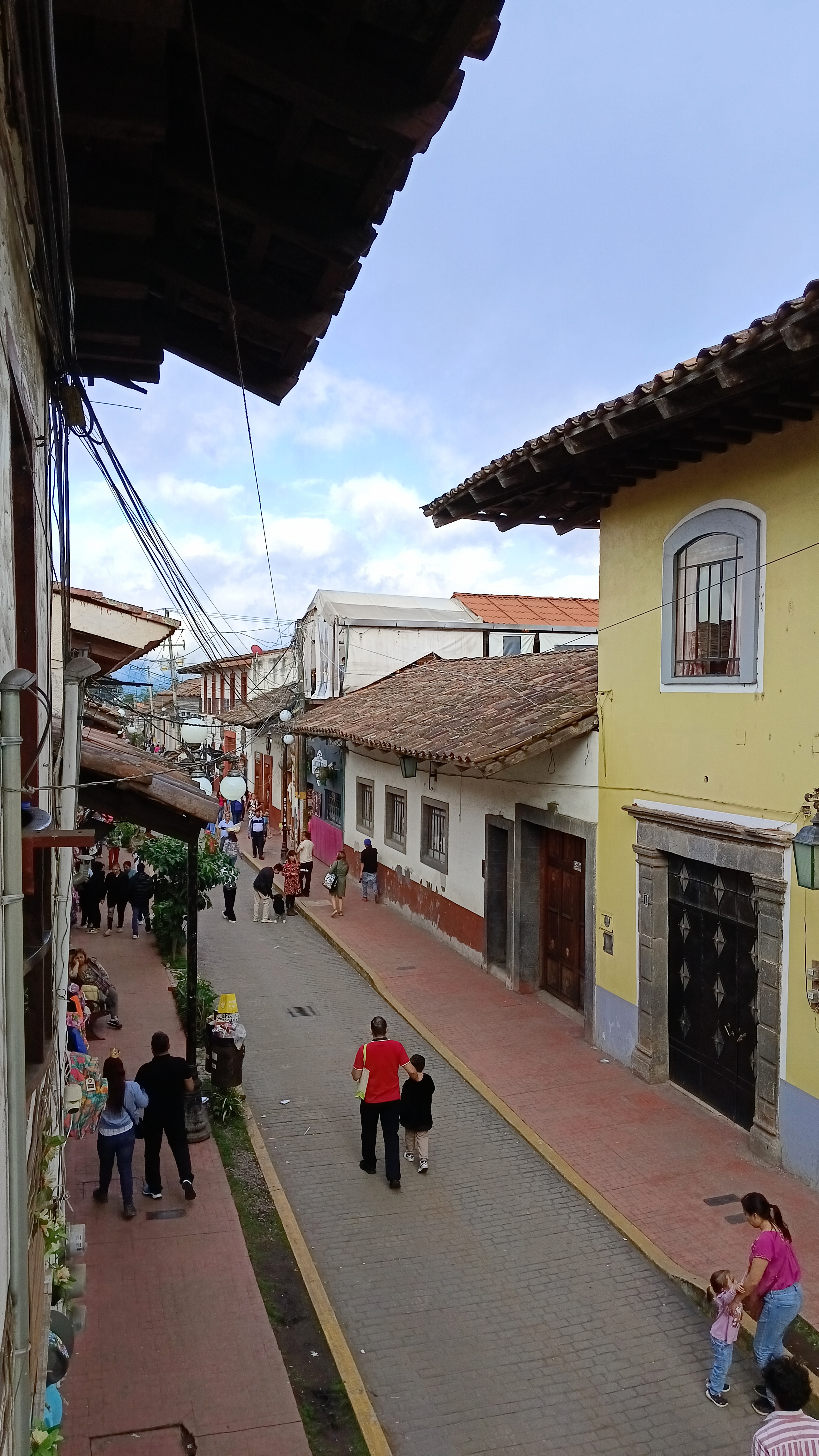 Agave Bistro image 8