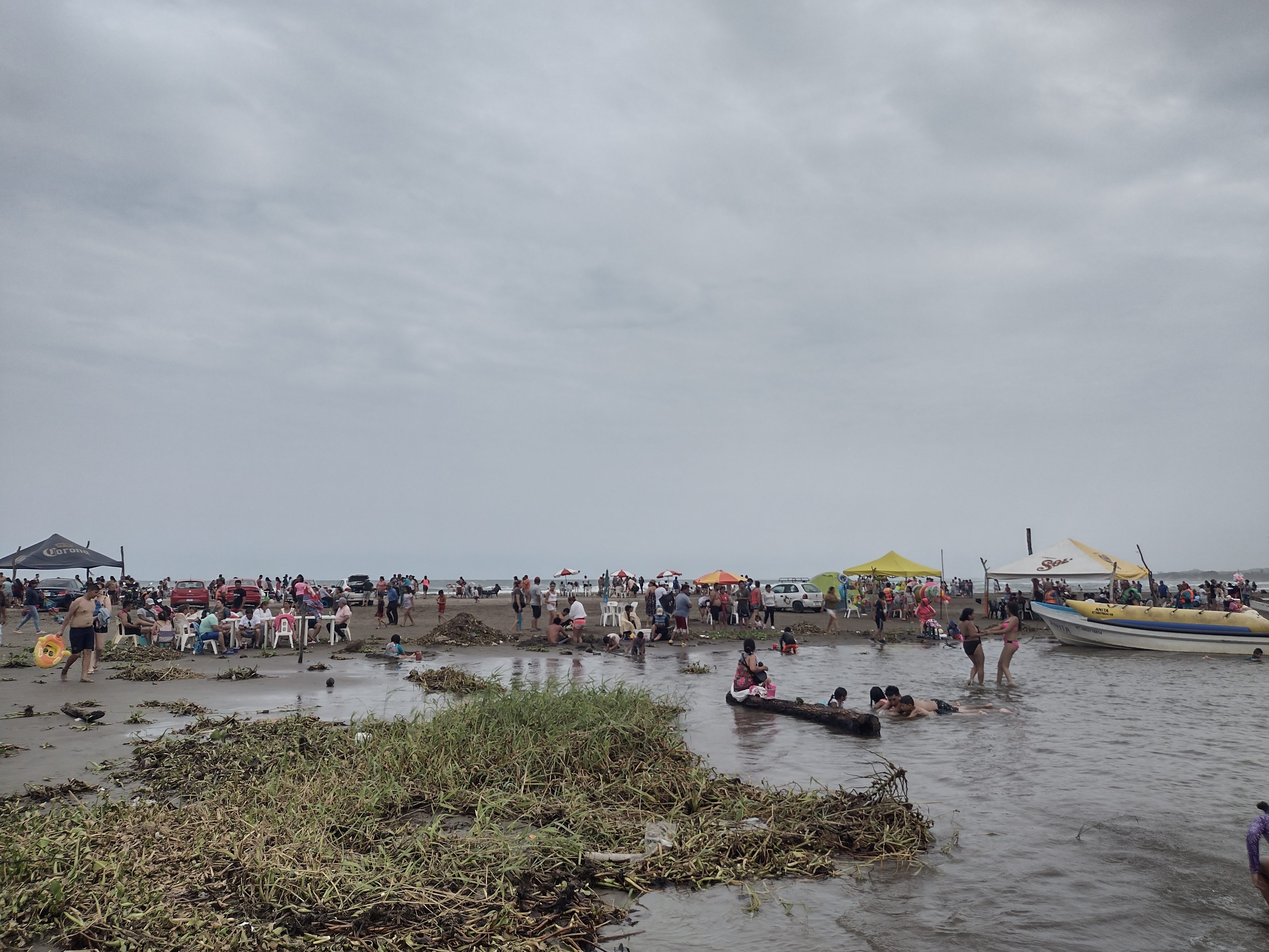 Taquería Chapa image 5