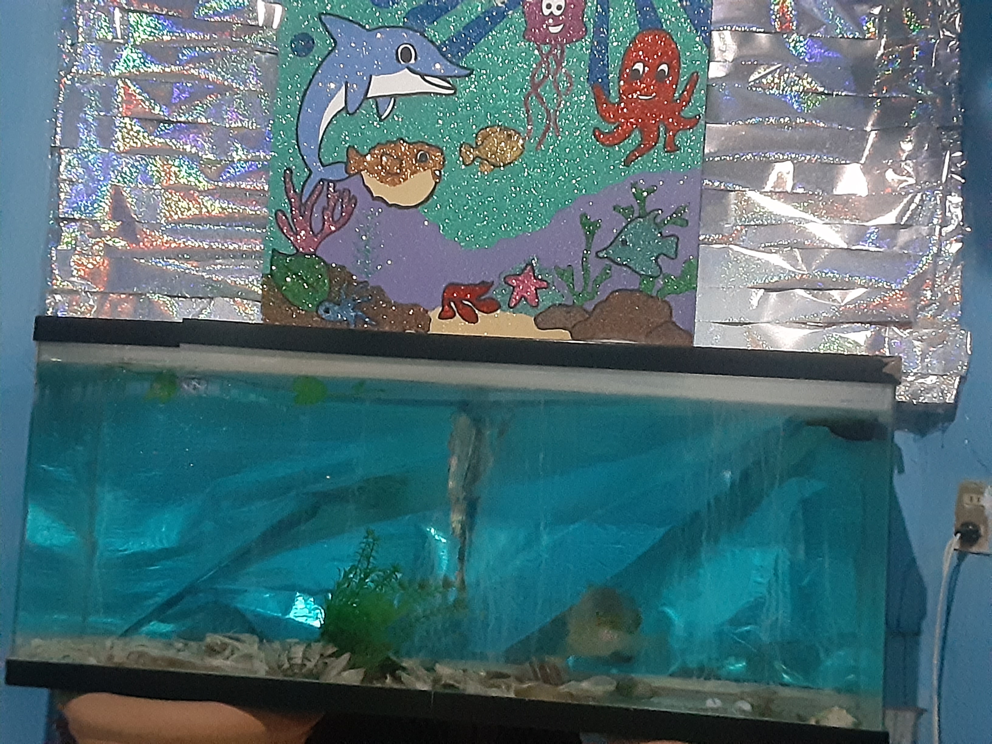 Mariscos Nuevo Amanecer image 7