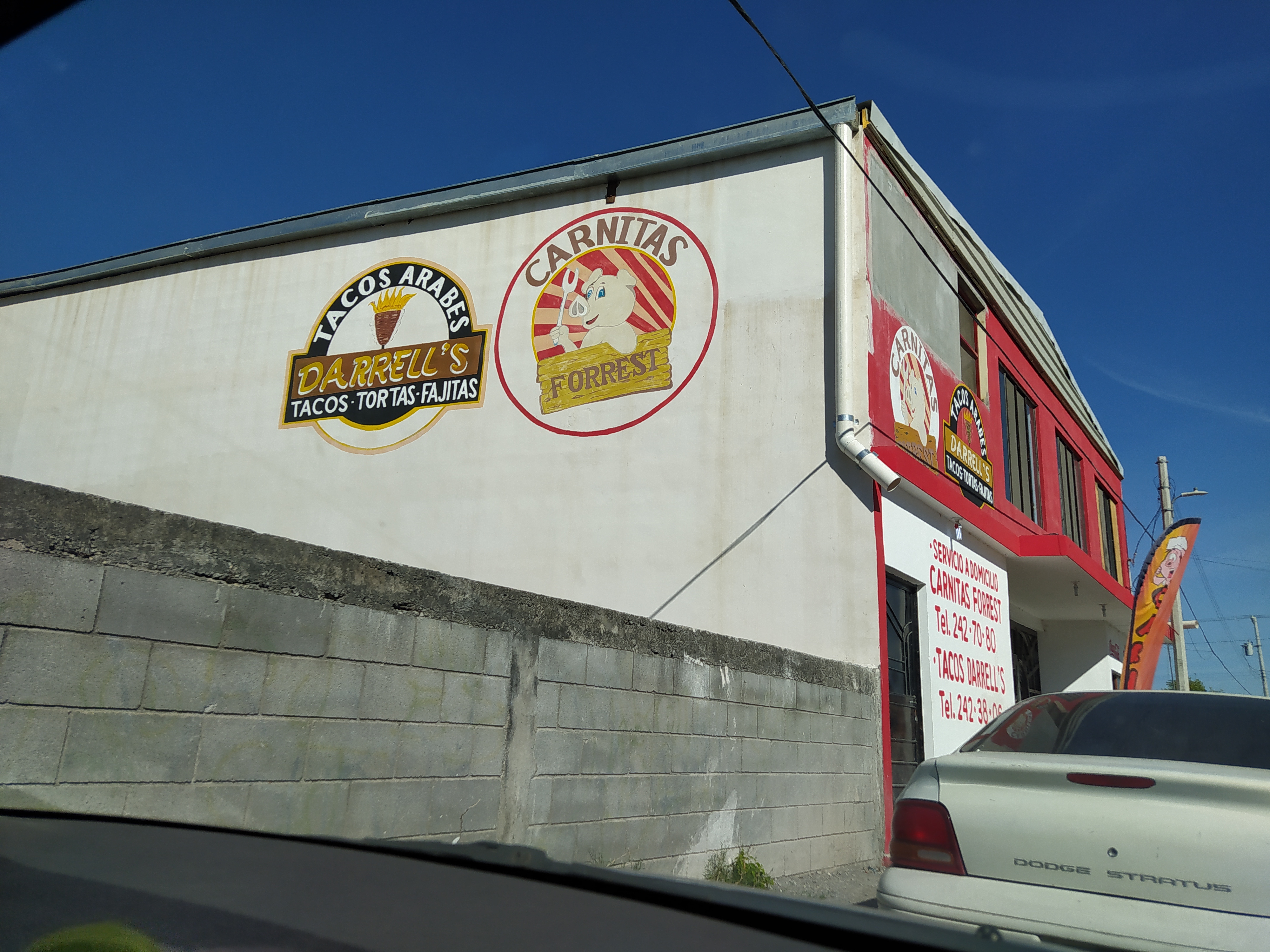 Carnitas "Forrest" image 4