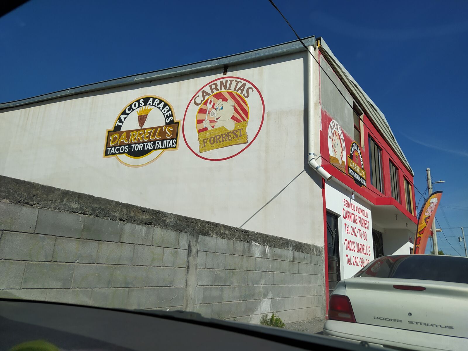Carnitas "Forrest" image 4