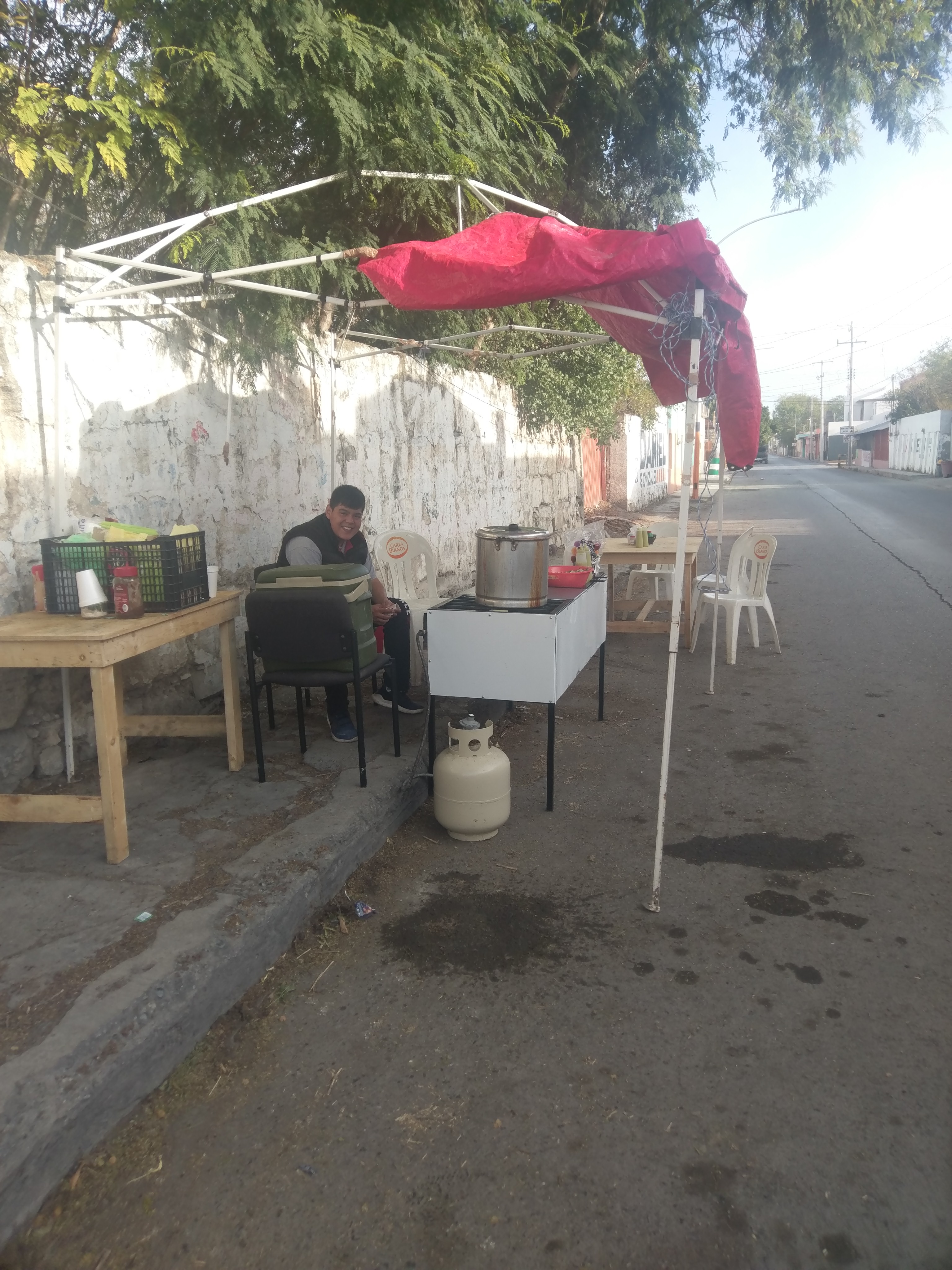 Tacoszapatta image 2