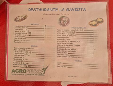 La Gaviota image 6