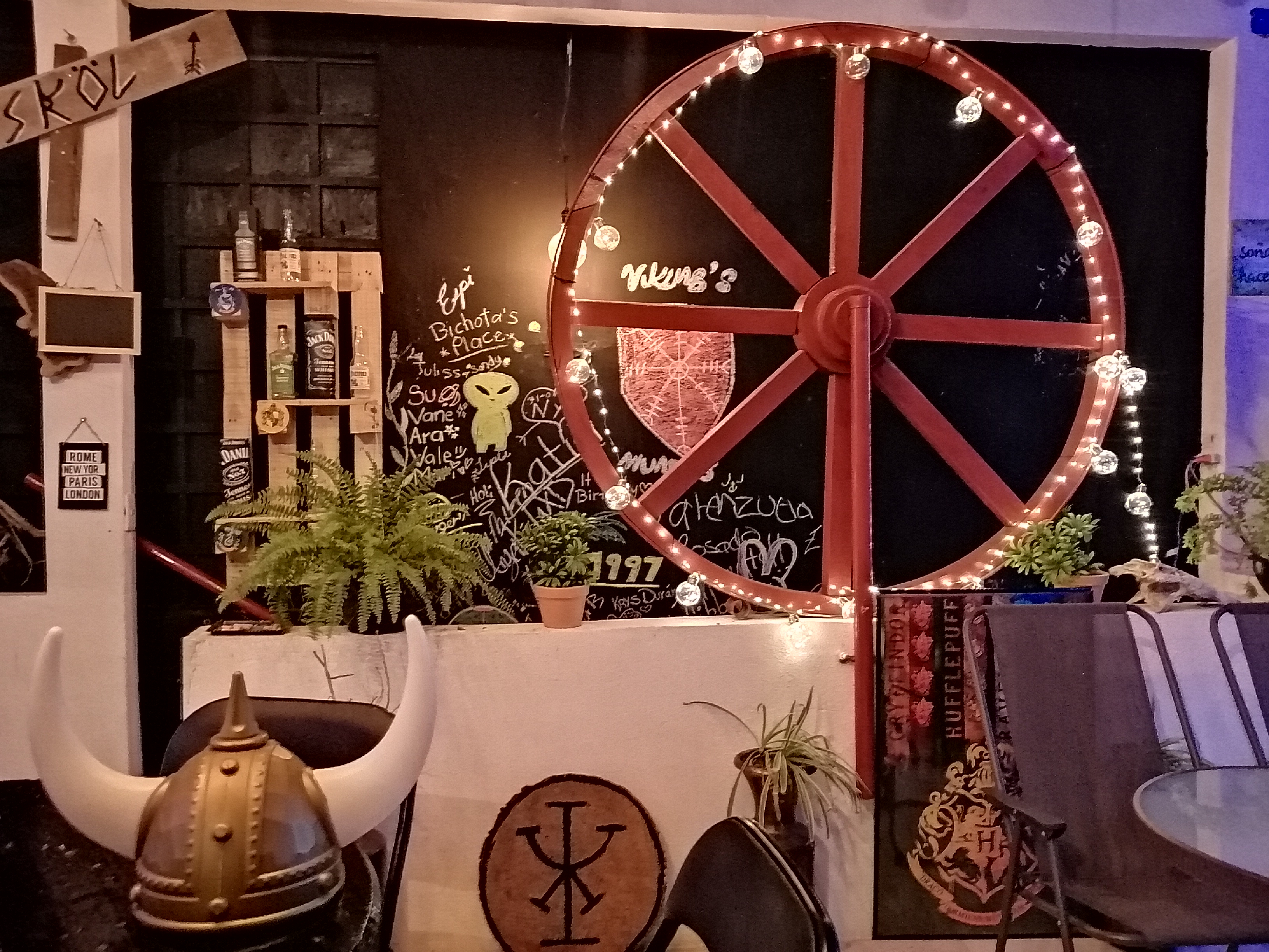 VikingWing's image 1