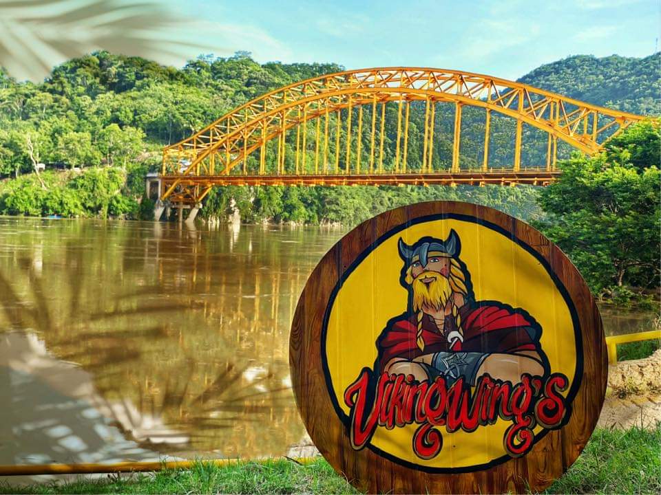 VikingWing's image 3