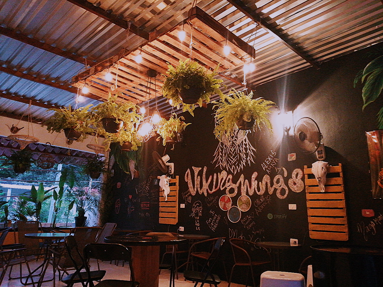 VikingWing's image 4