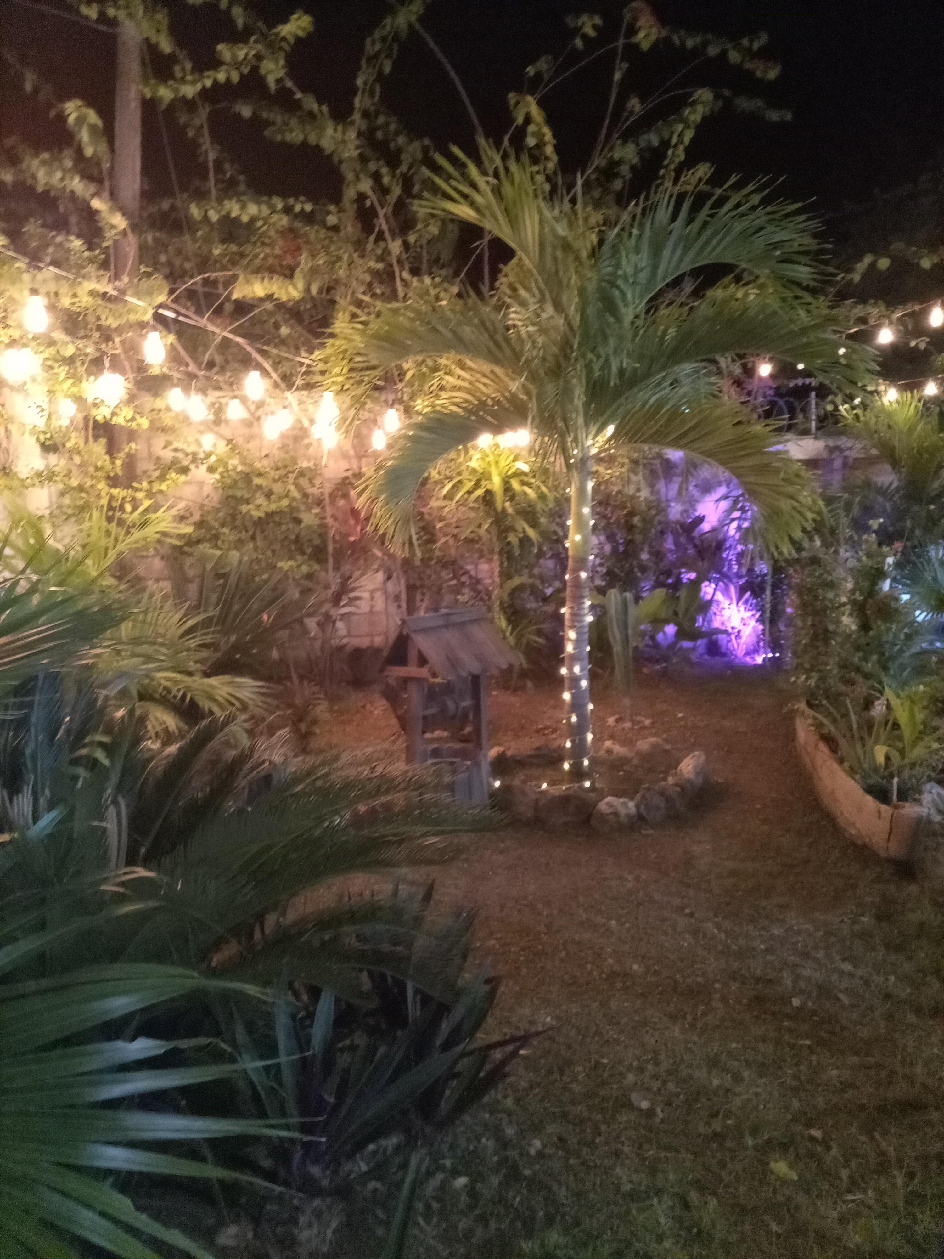 Palapa El Descrude Tenosique image 8