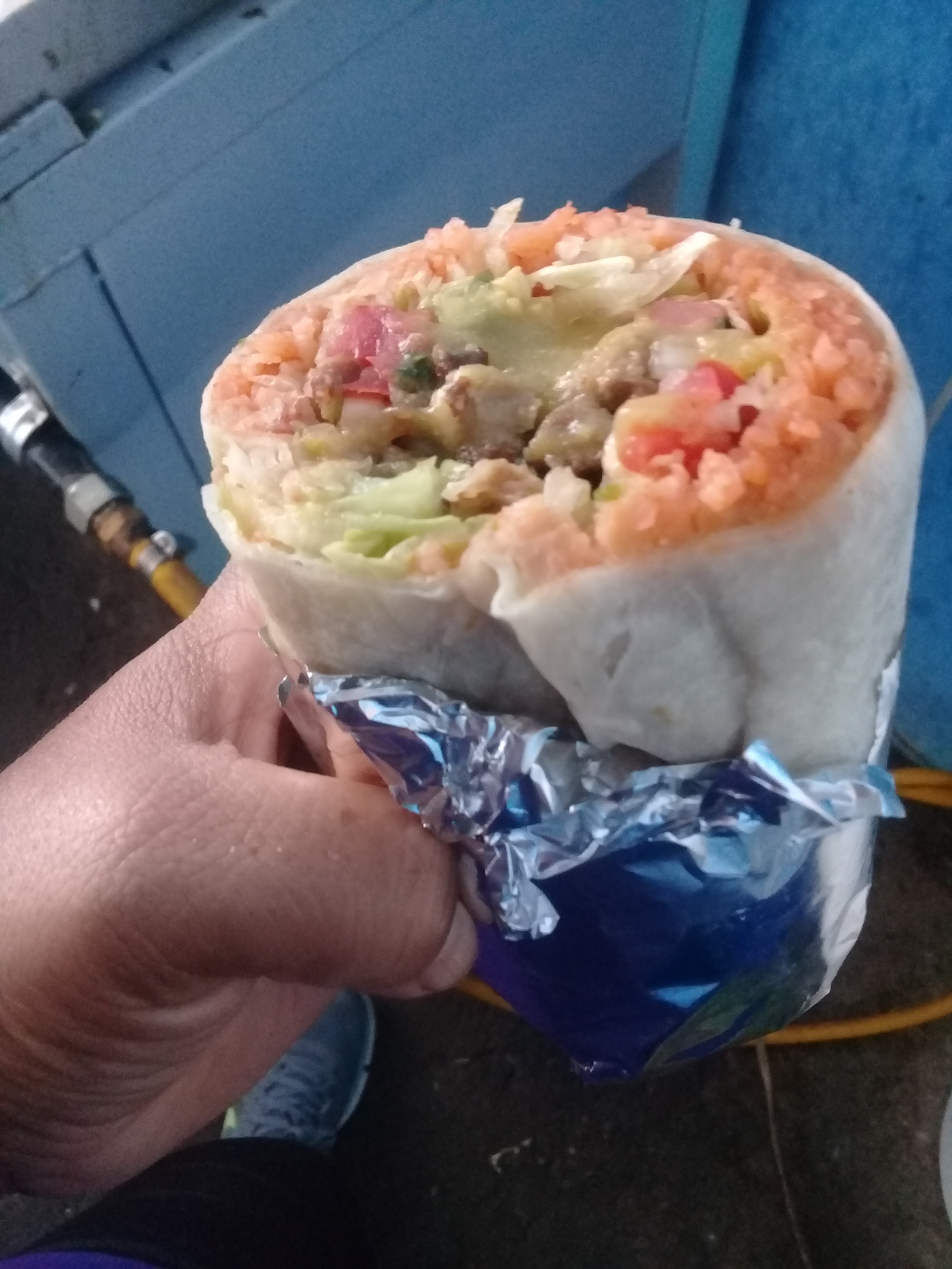 Loncheria julian image 9