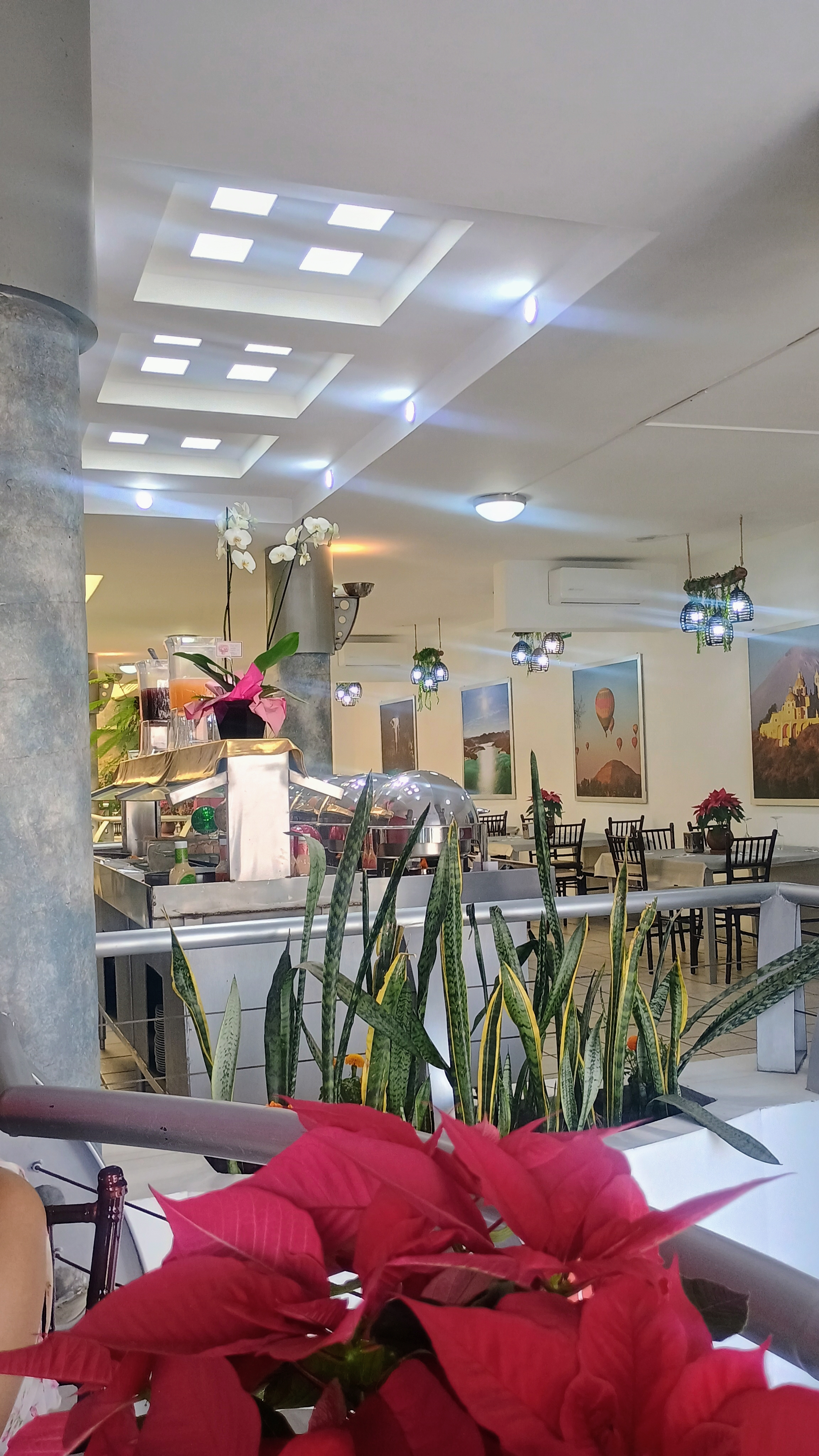 Restaurante El Apapacho image 8