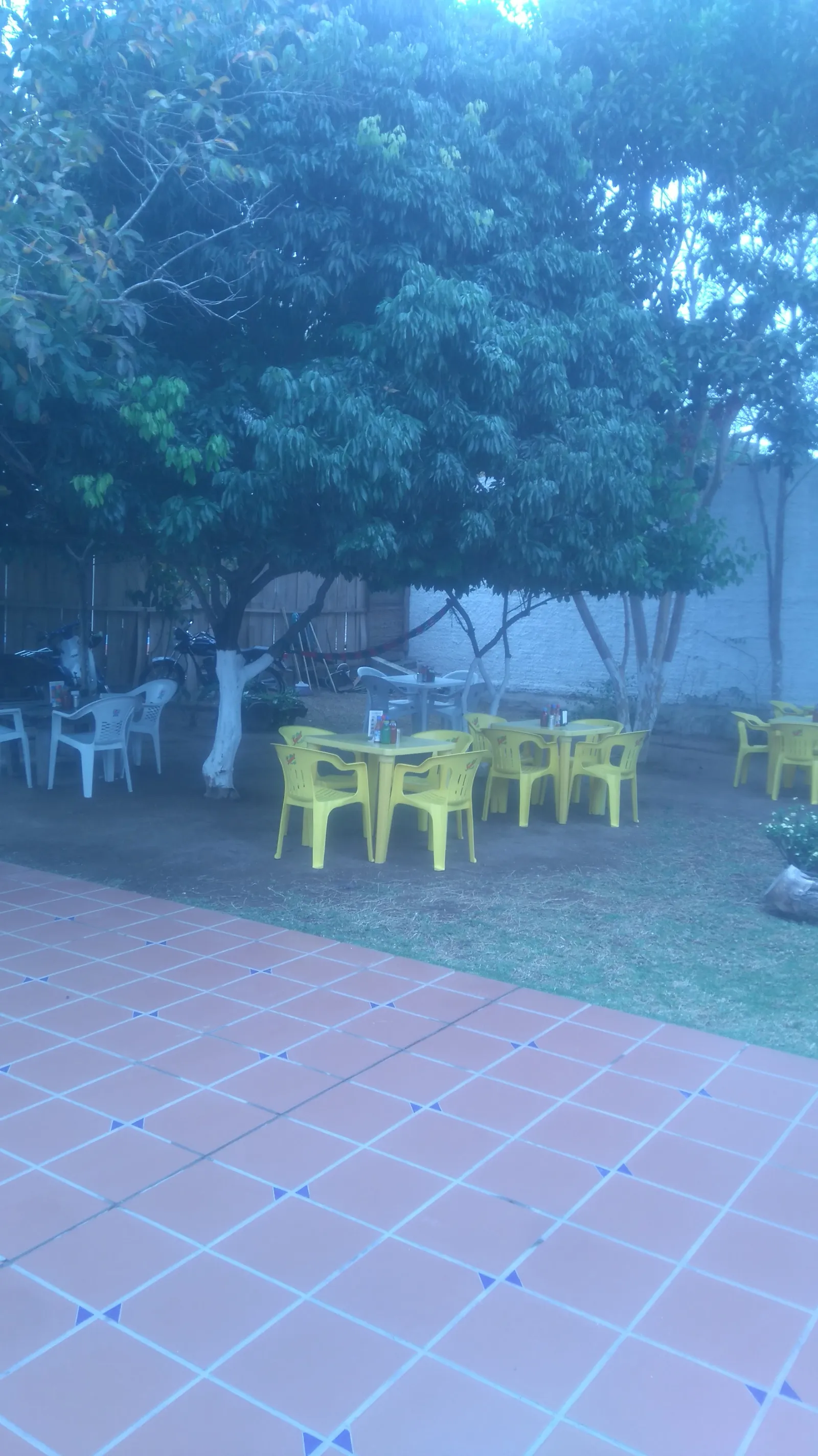 El Zota image 9