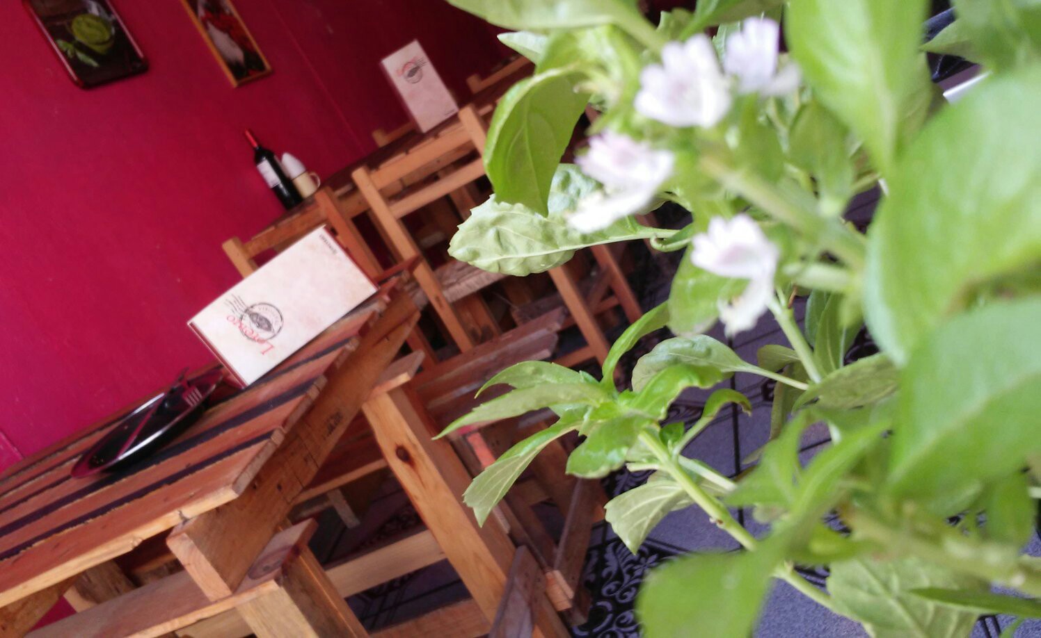 Lorenzo Trattoria image 9