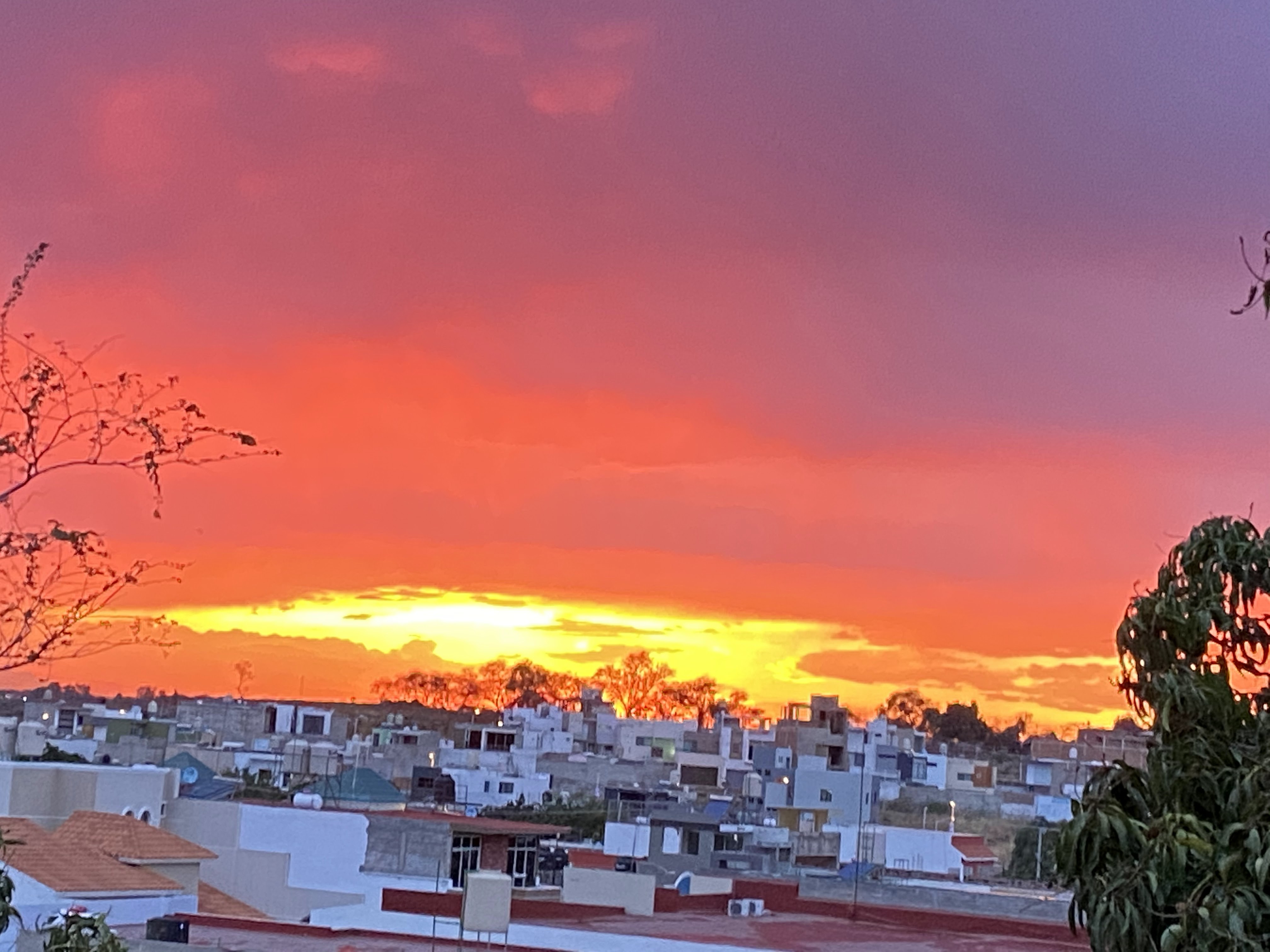 La Sevillana Cocina & Cafe image 5