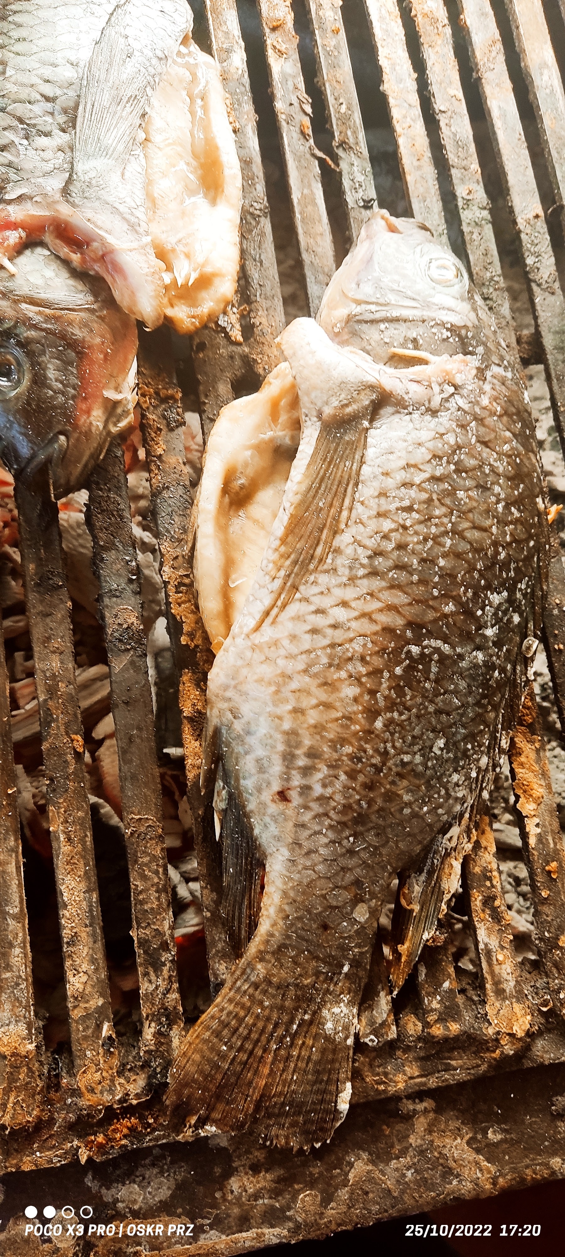 Pescadería Delyta image 5